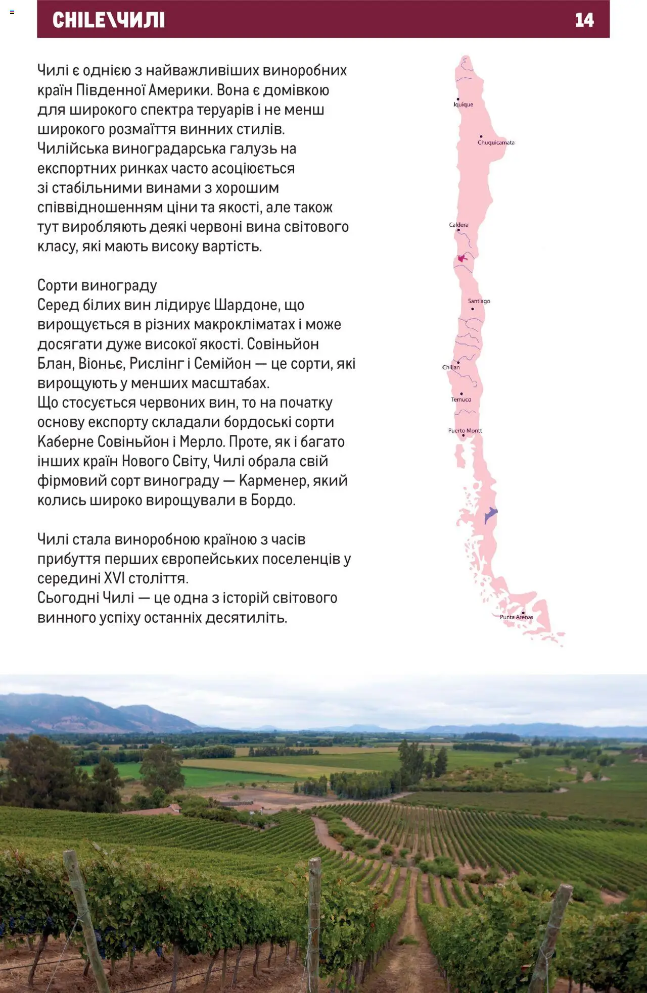 Metro Kаталог - дійснийкції з 01.07.2025 | Сторінка: 14