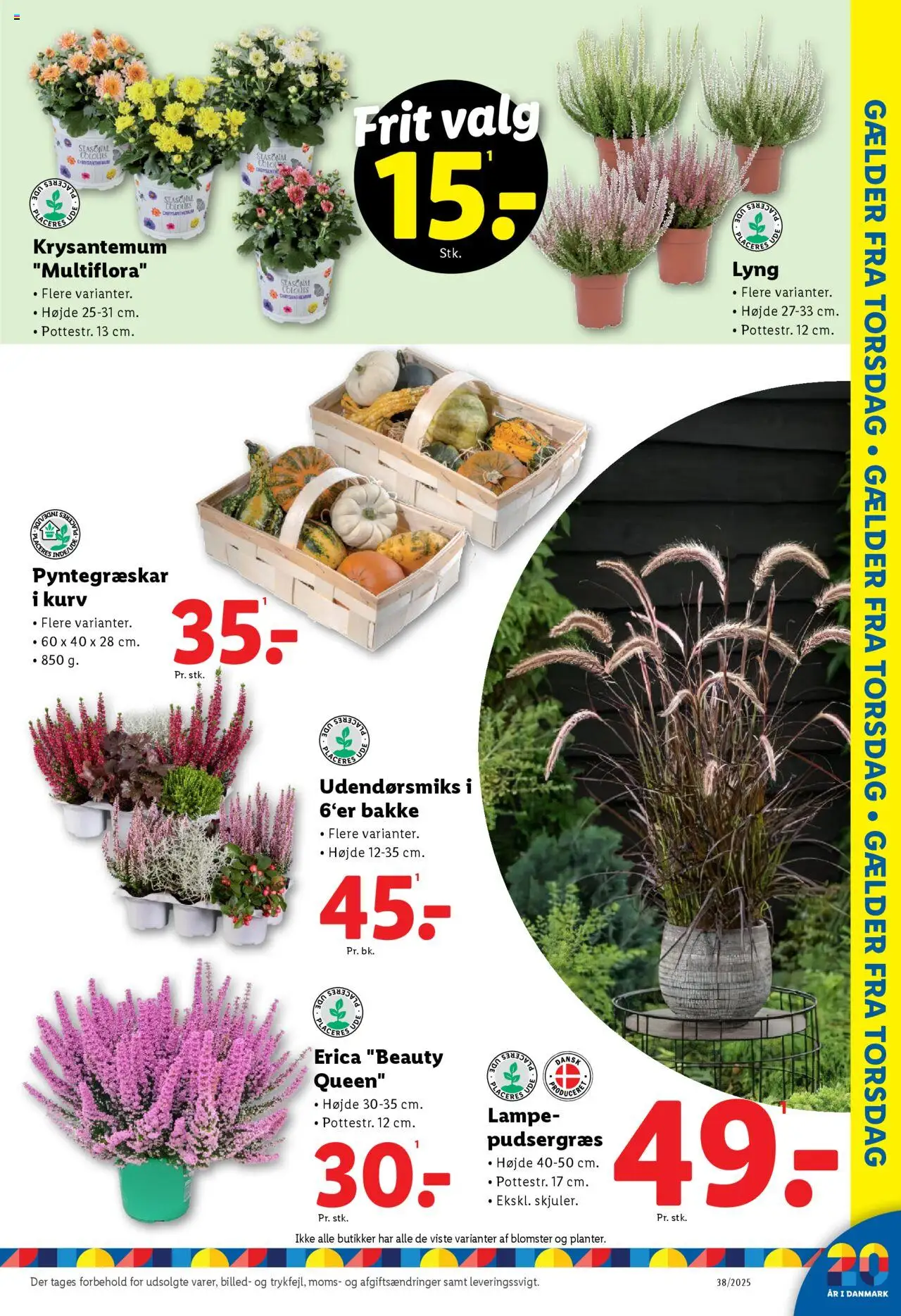 Lidl tilbudsavis – gyldig fra 18.09.2025 | Side: 7 | Produkter: Kurv, Lampe