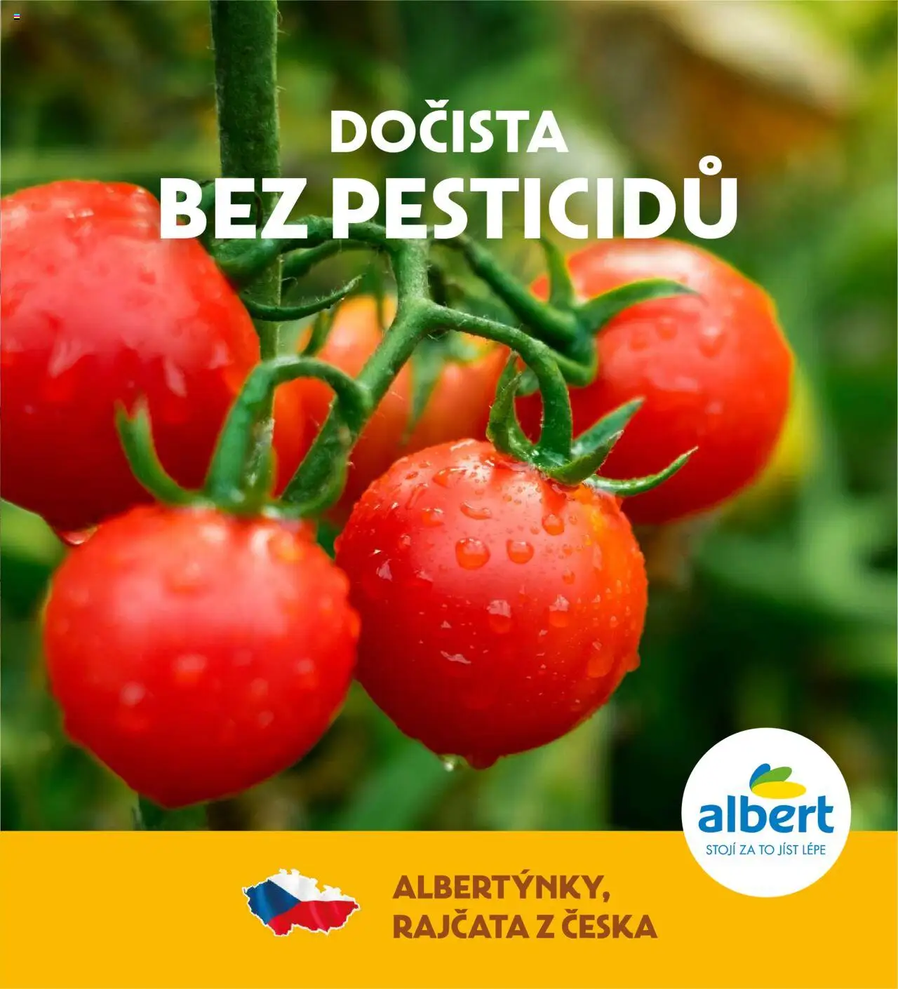 Albert magazín od 01.06.2025 | Strana: 41 | Produkty: Rajčata