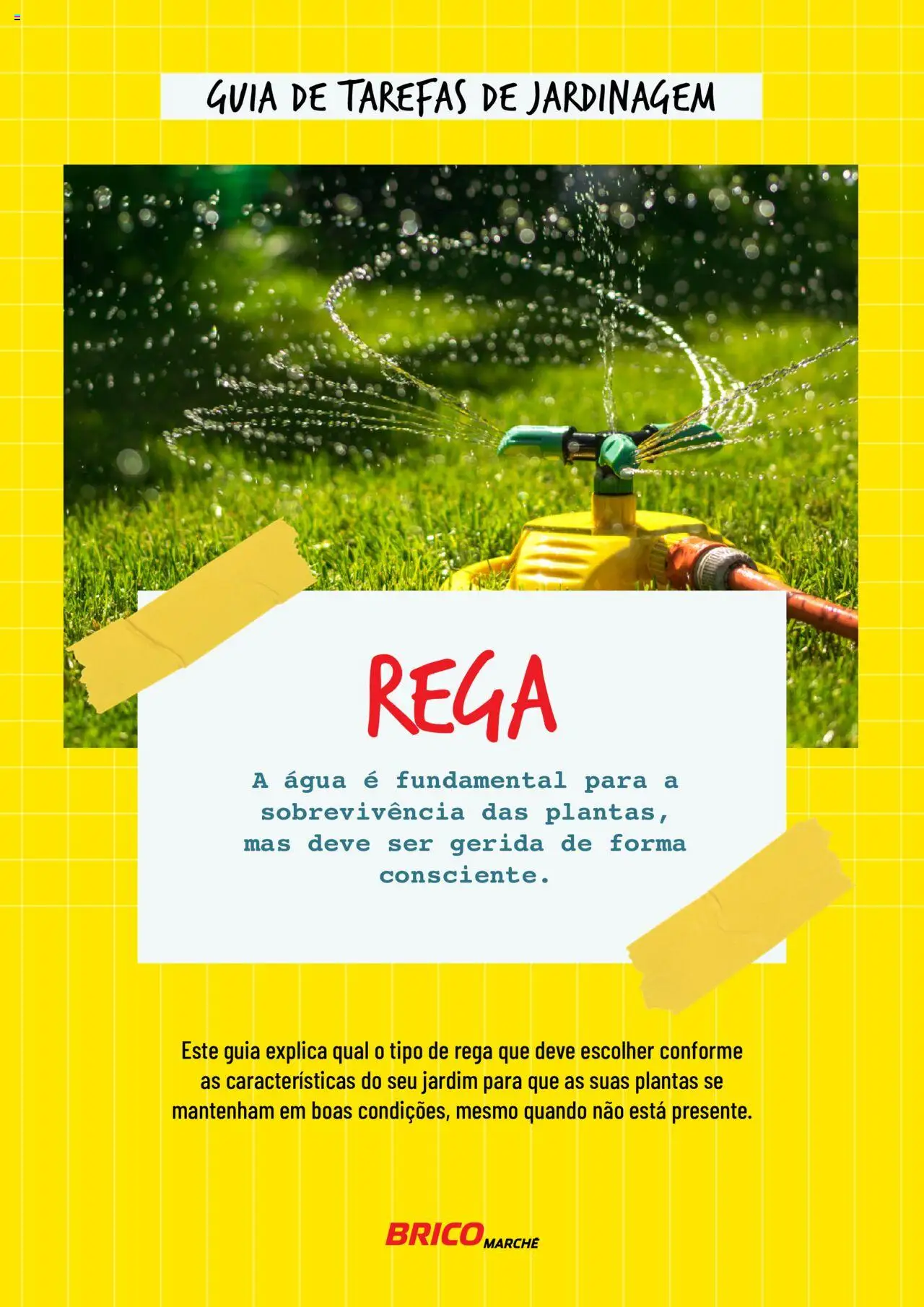 BricoMarché Rega │ válido de 17.01.2024 | Página: 1