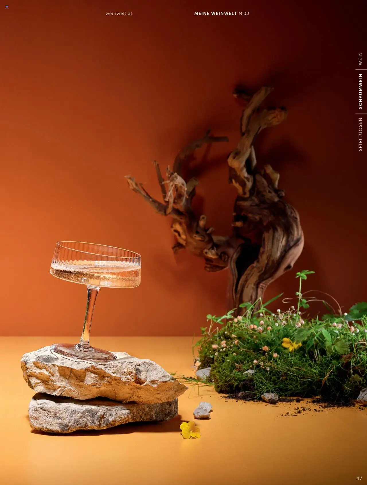 Interspar Weinwelt Magazin Ausgabe Herbst gültig ab 10.09.2025 | Seite: 47 | Produkte: Wein