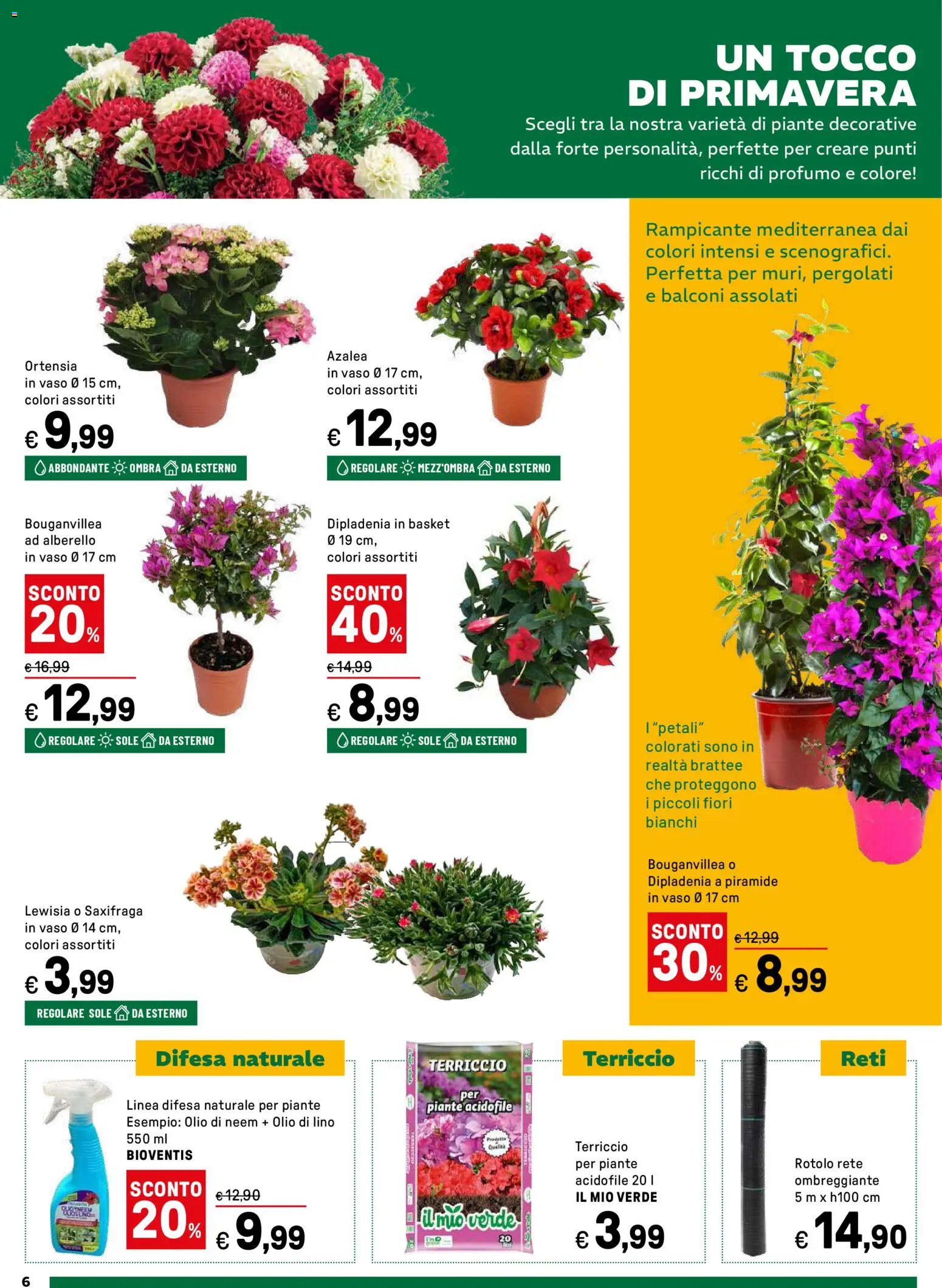 Volantino Iper del 16.03.2026 | Pagina: 6 | Prodotti: Olio, Terriccio, Vaso, Profumo