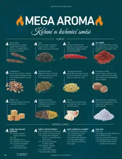 Náhled letáku HORNBACH leták - Magazín o grilování od 01.01.2026 | Strana: 38