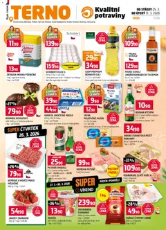 Náhled letáku Terno leták od 25.03.2026