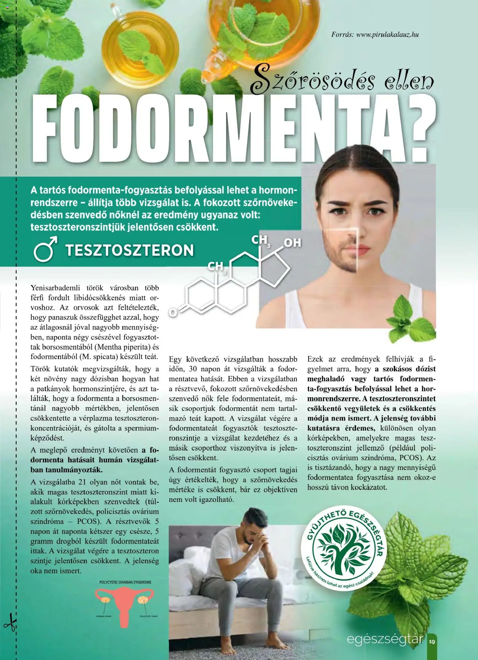 Pingvin Patika akciós ujság - amely érvényes a következő dátumtól: 01.11.2025 | Oldal: 19