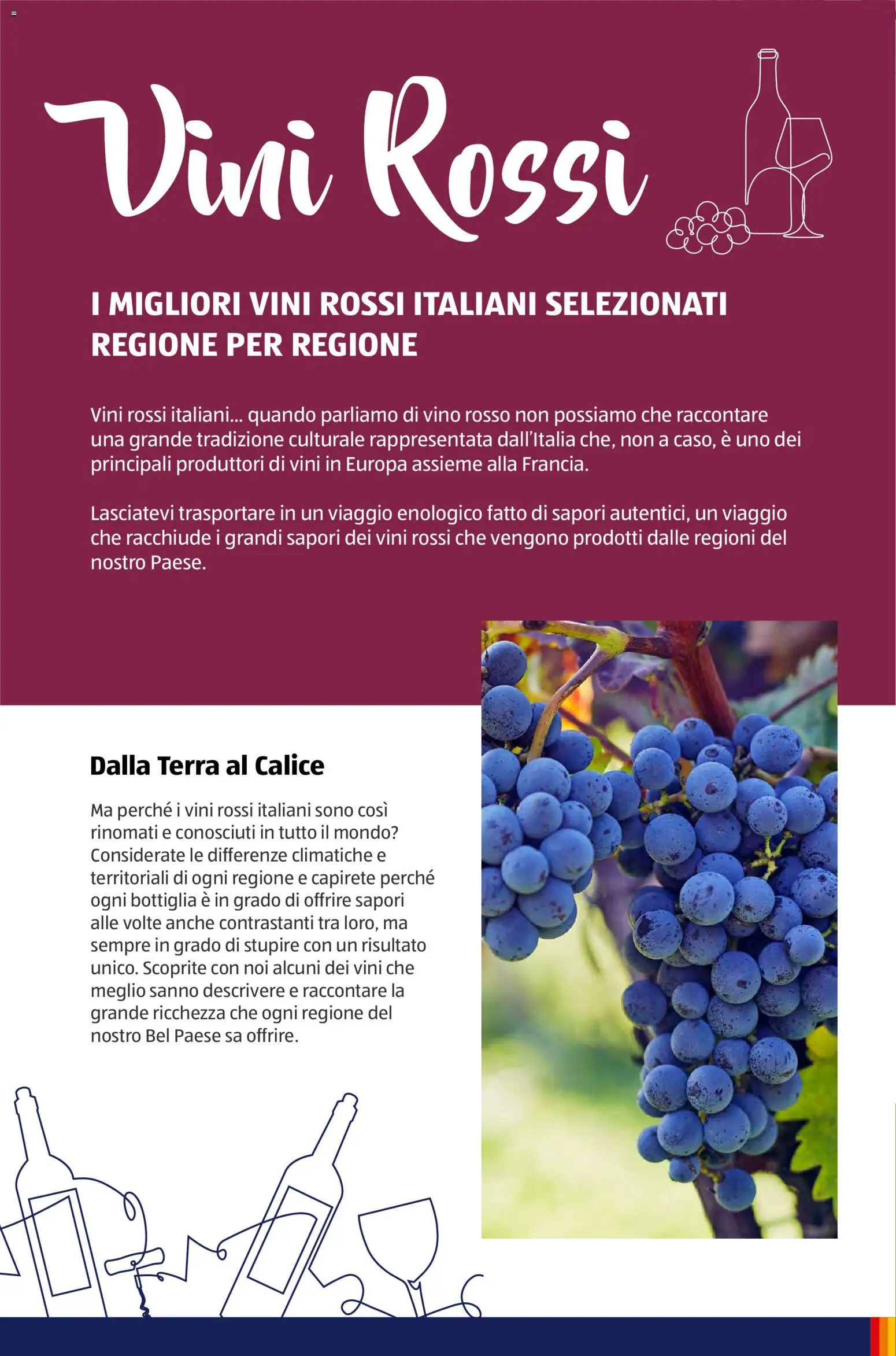 Volantino Aldi del 12.01.2026 | Pagina: 8 | Prodotti: Vino, Bottiglia, Vino rosso, Terra