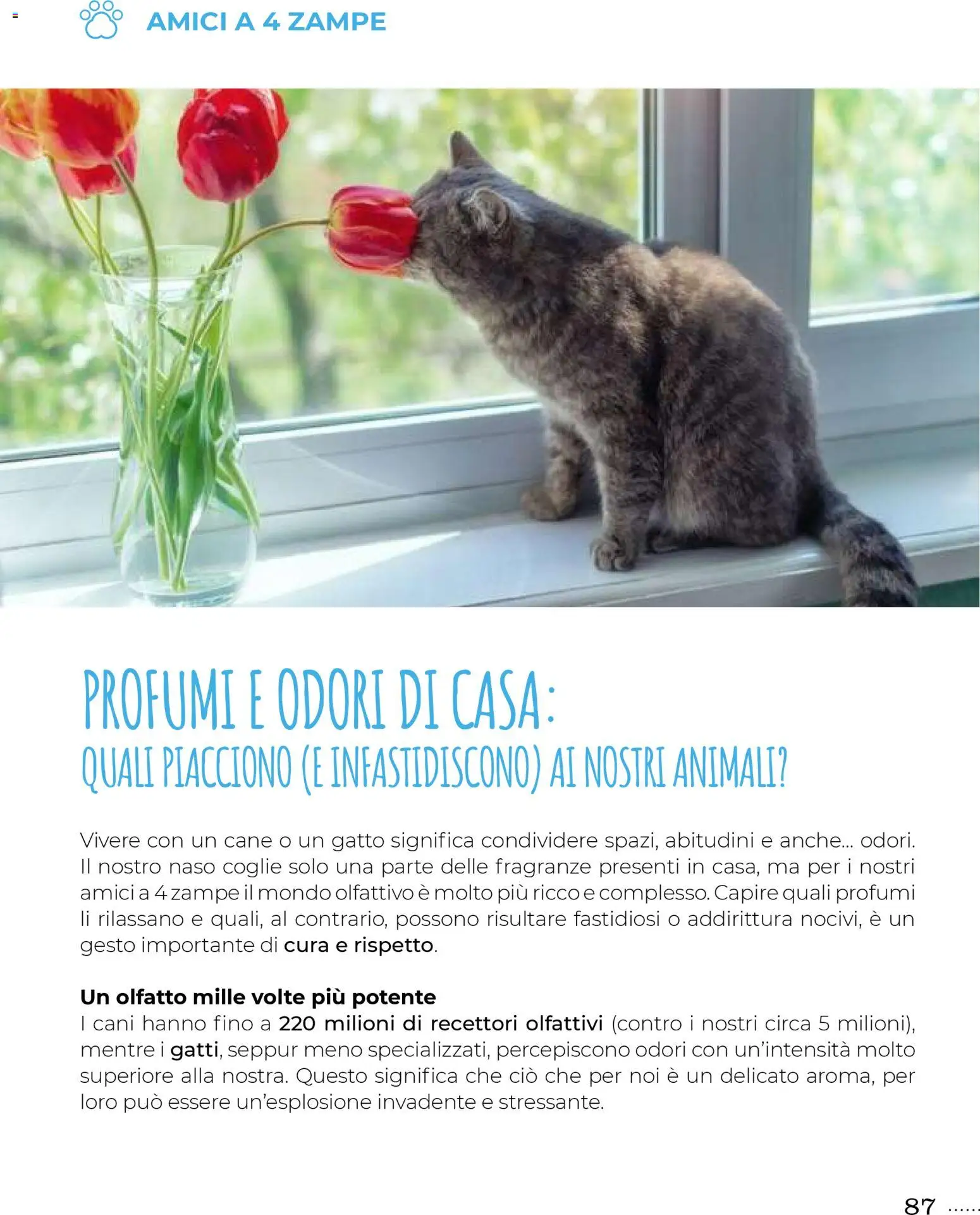 Volantino Gulliver del 31.10.2025 | Pagina: 87