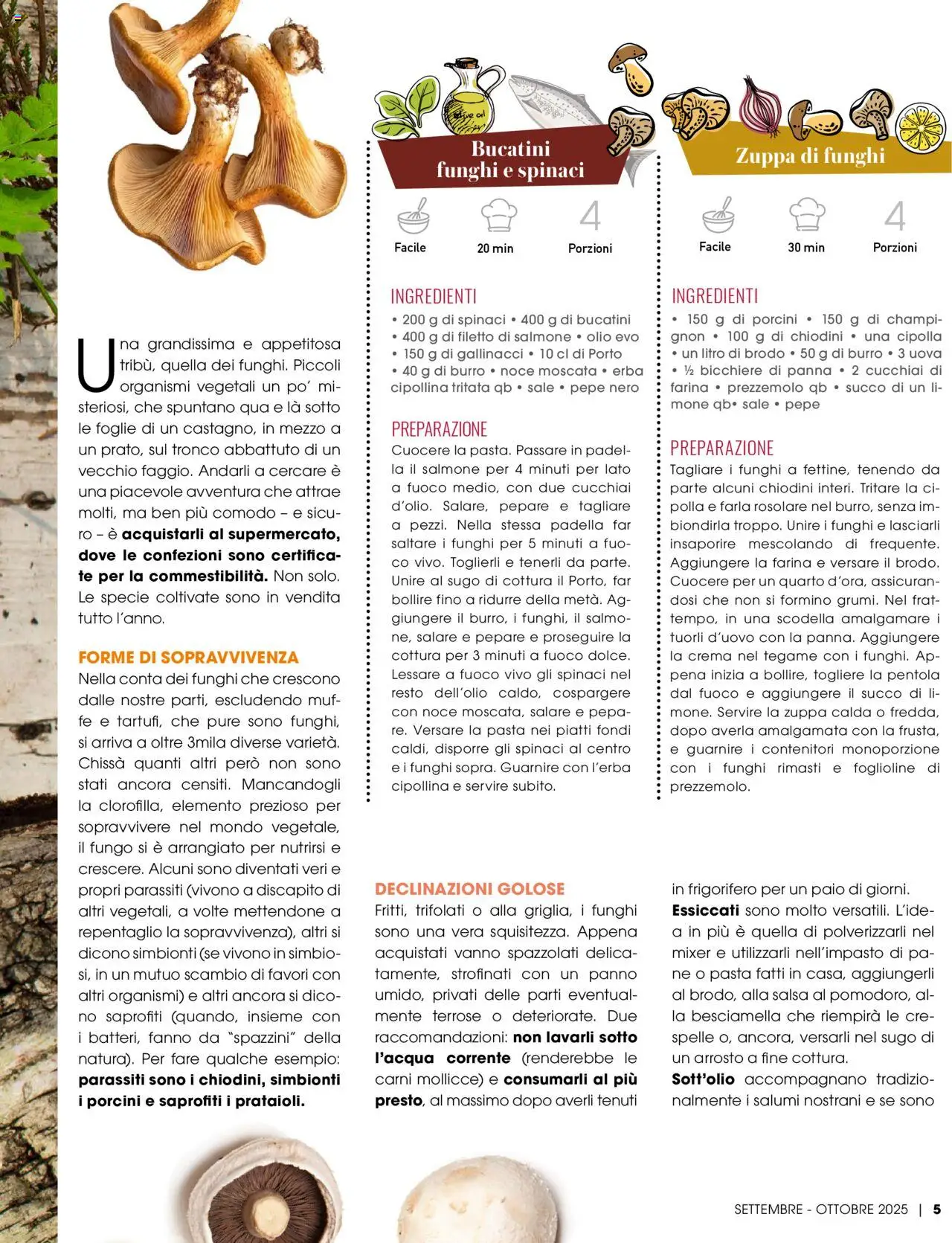 Volantino Elite Supermercati del 01.09.2025 | Pagina: 5 | Prodotti: Sale, Spinaci, Besciamella, Mixer