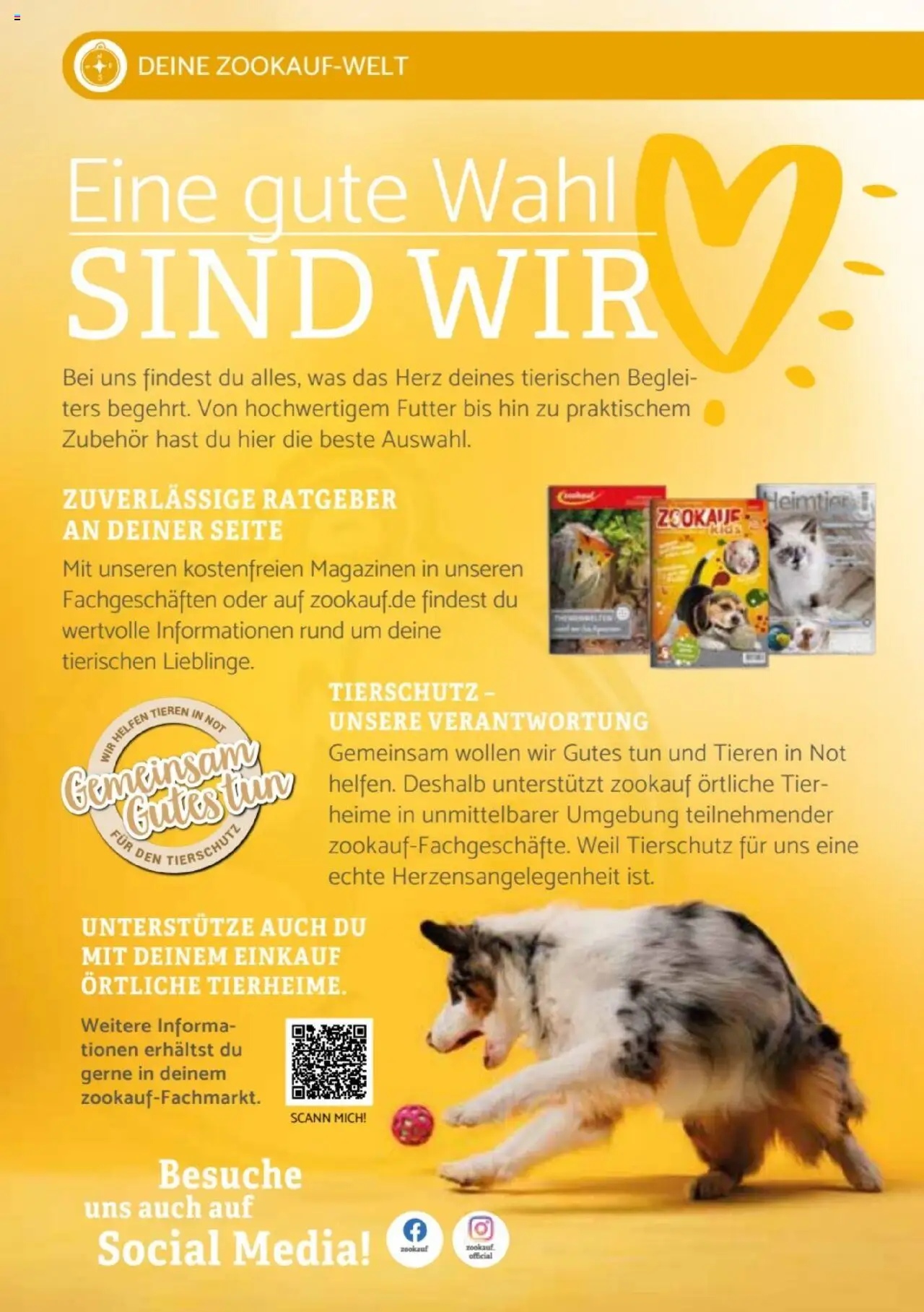 zookauf -Heimtier Journal Special - gültig ab dem 21.07.2025 | Seite: 14