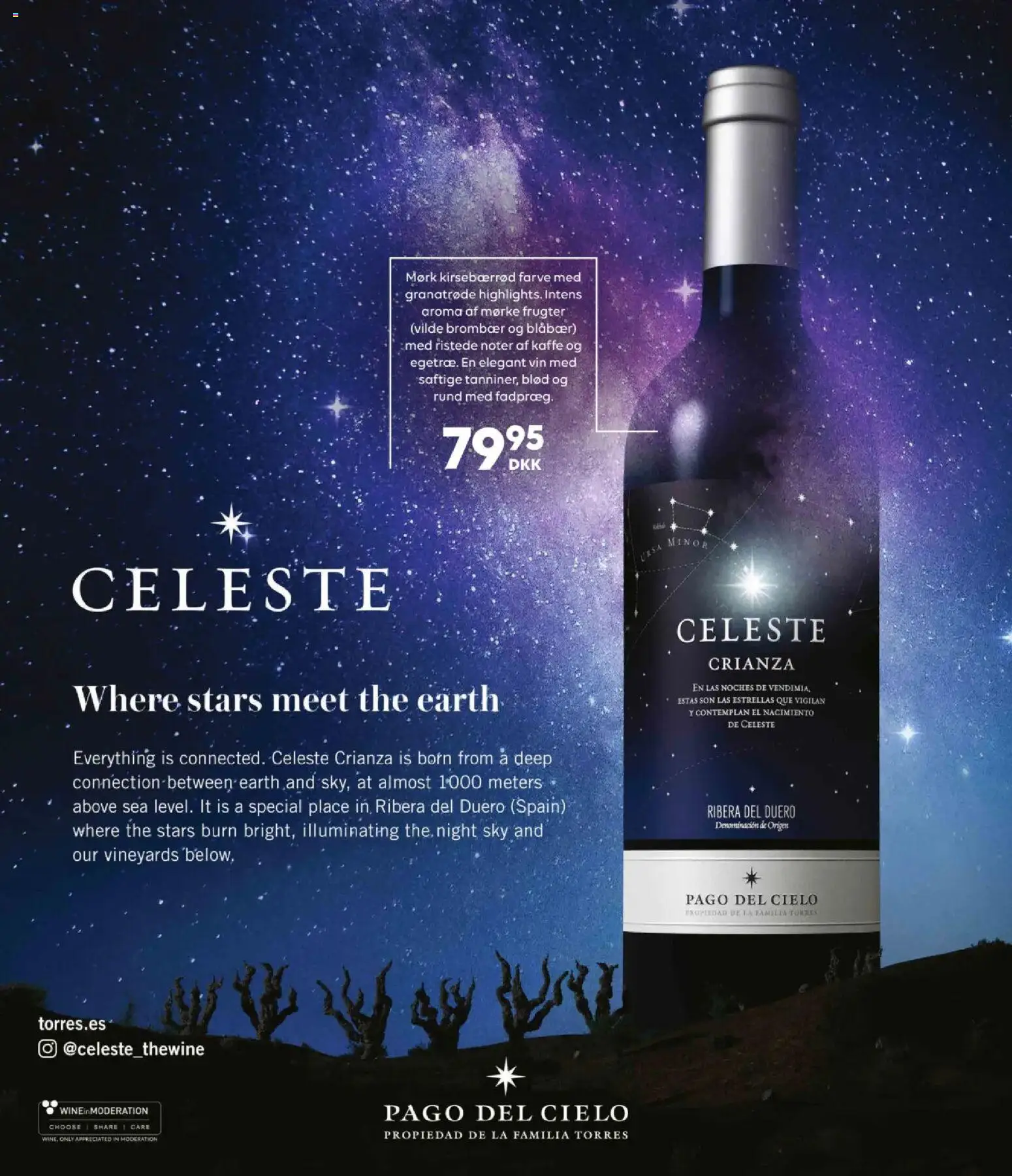 Bordershop tilbudsavis – gyldig fra 06.11.2025 | Side: 5 | Produkter: Blåbær, Kaffe, Vin, Is