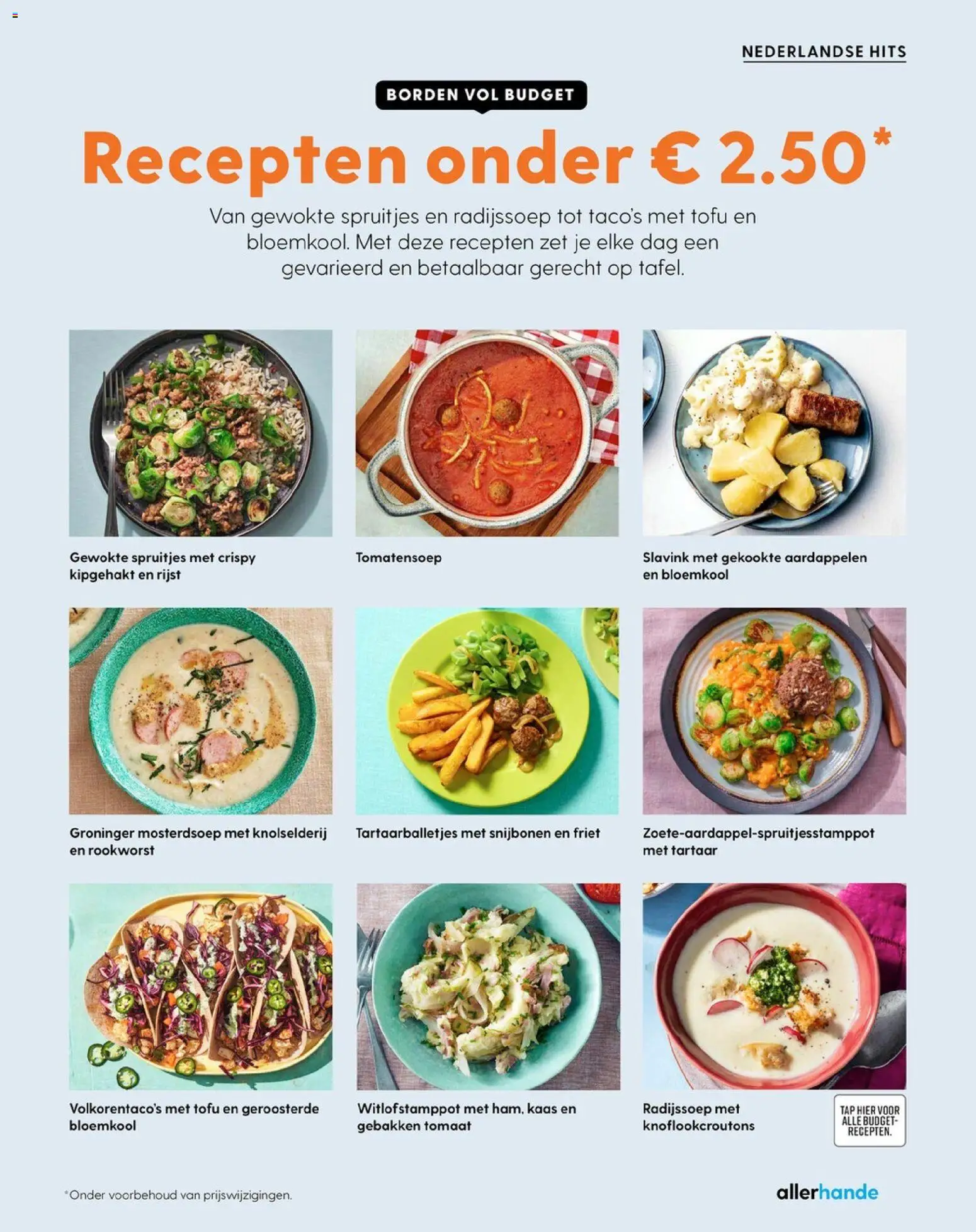 {H1} | Pagina: 21 | Producten: Zsalukő, Tomaat, Kaas, Friet