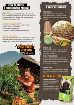 Náhled letáku HORNBACH leták - Zahrada od 01.01.2026 | Strana: 7 | Produkty: Rostliny, Semena, Ředkvičky, Flora