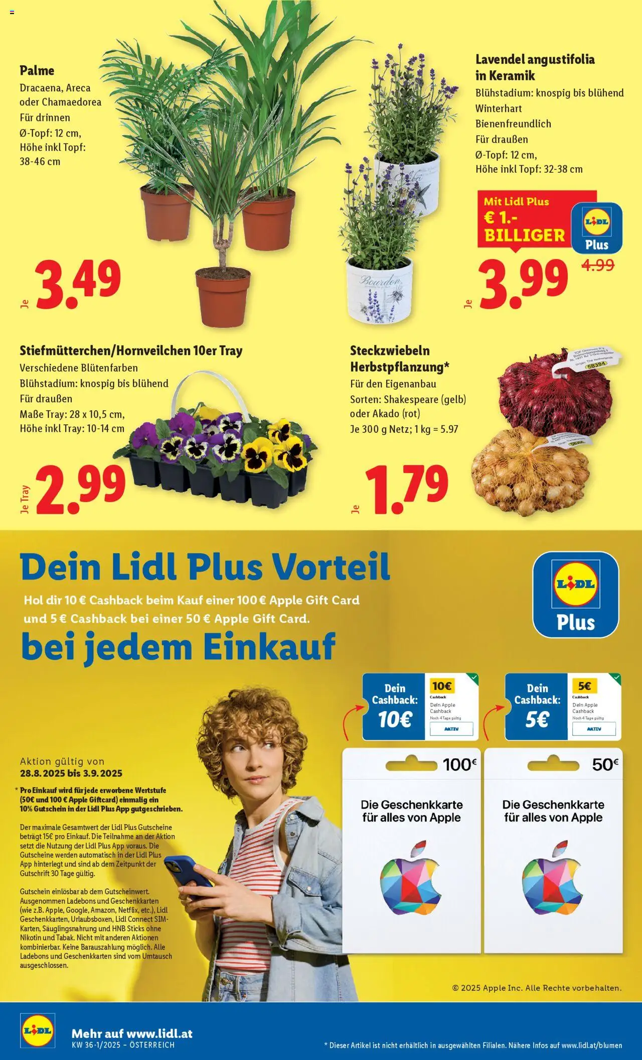 Lidl Flugblatt - Eisenstadt, Ebenfurth, Mattersburg gültig ab 28.08.2025 | Seite: 26 | Produkte: Apple