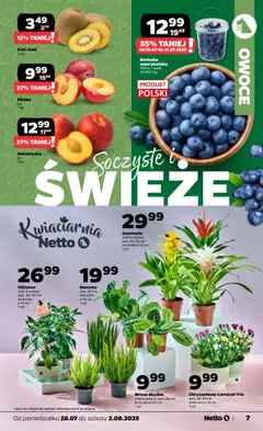 Netto gazetka - Spożywcza od 28.07.2025 | Strona: 7 | Produkty: Nektarynka, Borówka amerykańska, Wrzos, Doniczka
