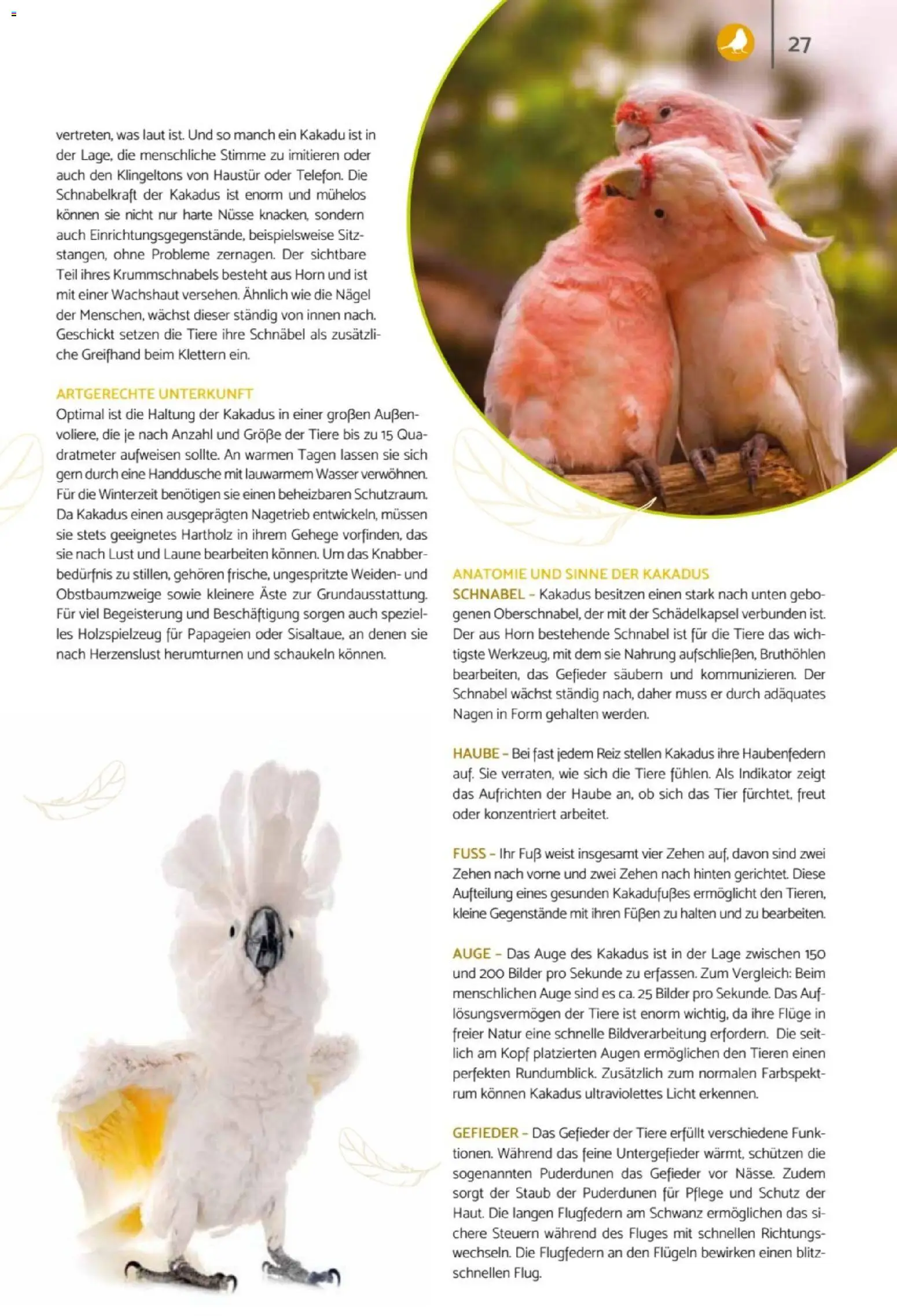 zookauf Heimtier Journal – gültig ab 01.04.2026 | Seite: 27 | Produkte: Rum, Bilder, Wasser, Nüsse