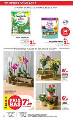  | Page: 22 | Produits: Mâche, Orchidée, Roquette, Chocolat