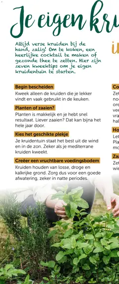 Aveve Groente- en kruidengids - Voorbeeld van een folder van Aveve, geldig van 23.02.2026 | Pagina: 14 | Producten: Thee, Kan