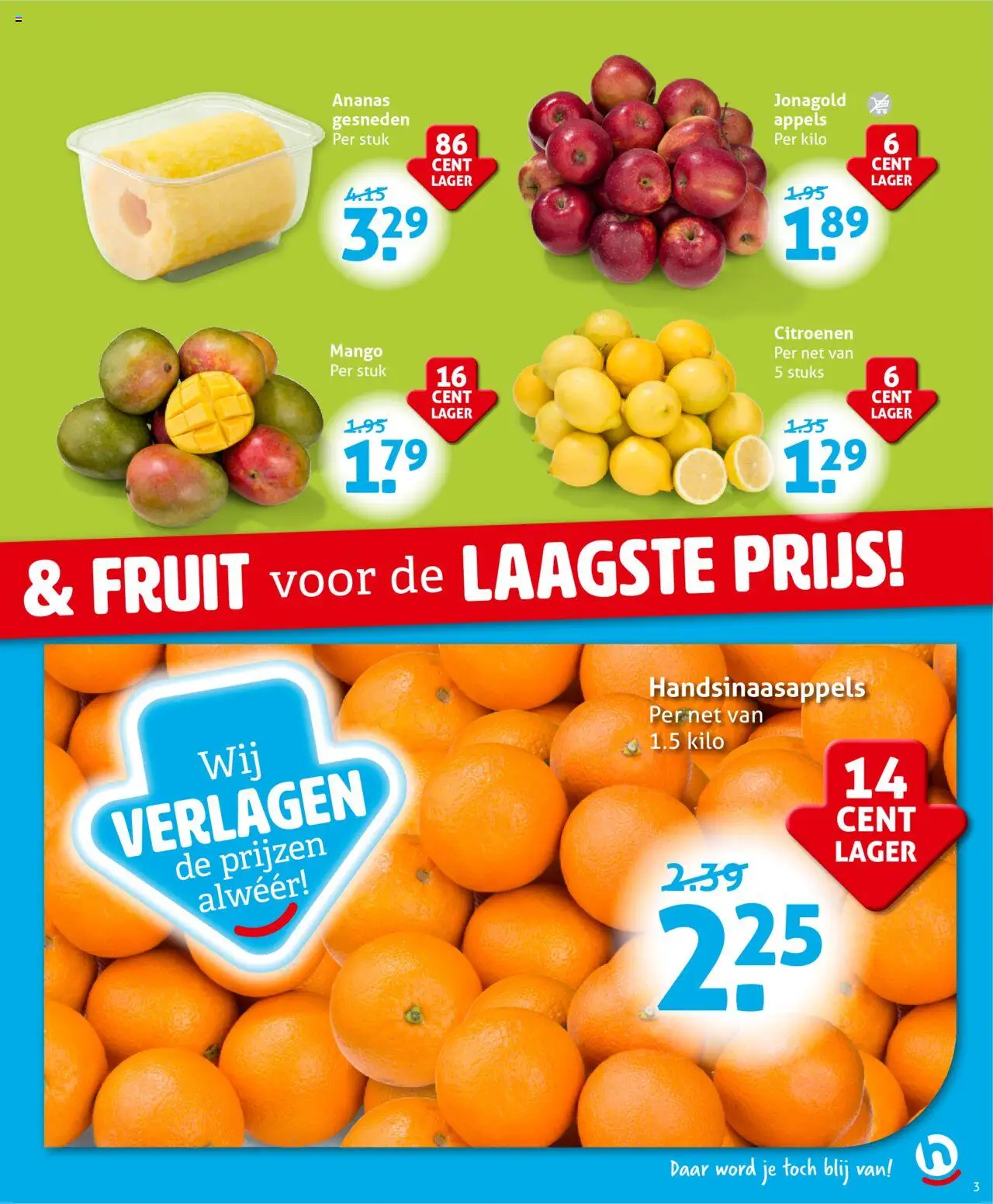  | Pagina: 3 | Producten: Appels, Ananas, Fruit, Mango