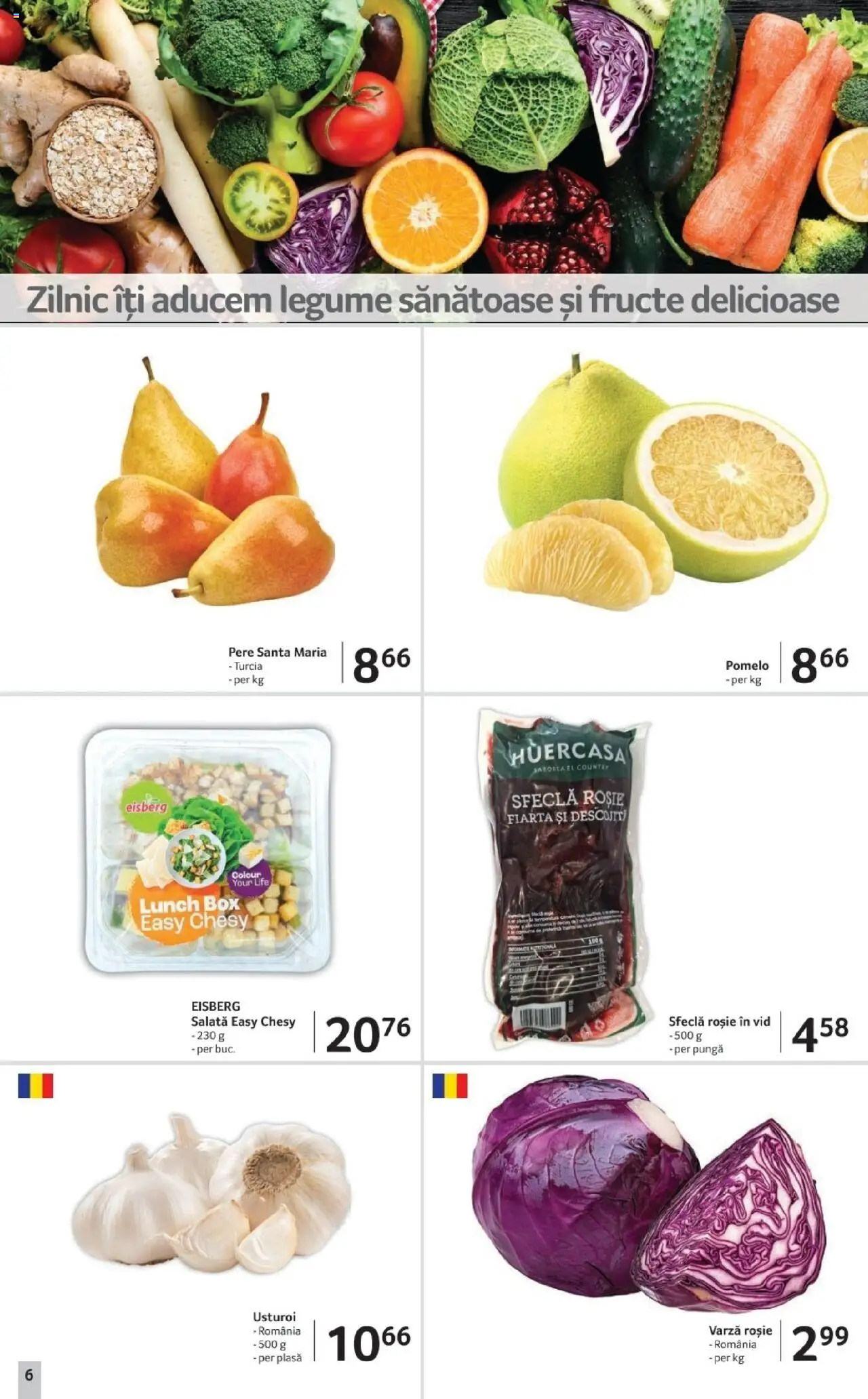 Noul catalog Selgros – valabil de la 17.10.2025 | Pagină: 6 | Produse: Pungă, Salată, Fructe, Sfeclă
