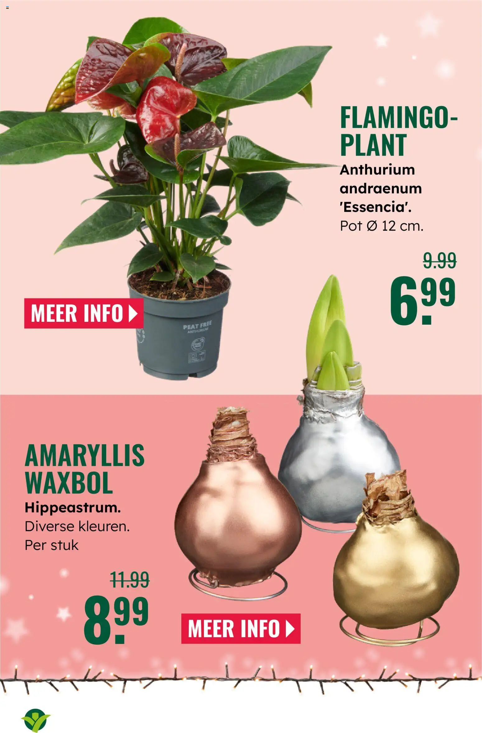 {H1} | Pagina: 4 | Producten: Pot