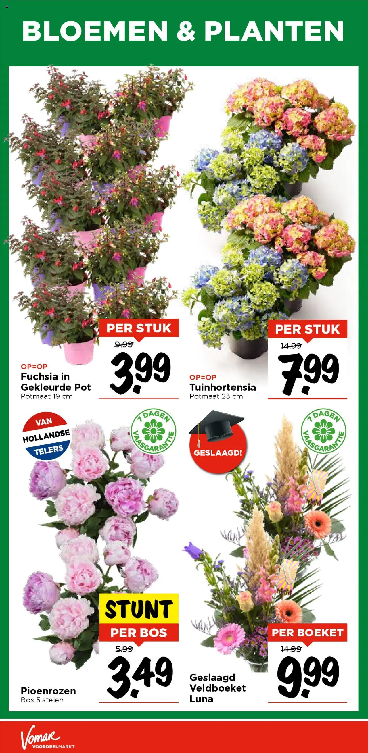  | Pagina: 32 | Producten: Pot, Bloemen