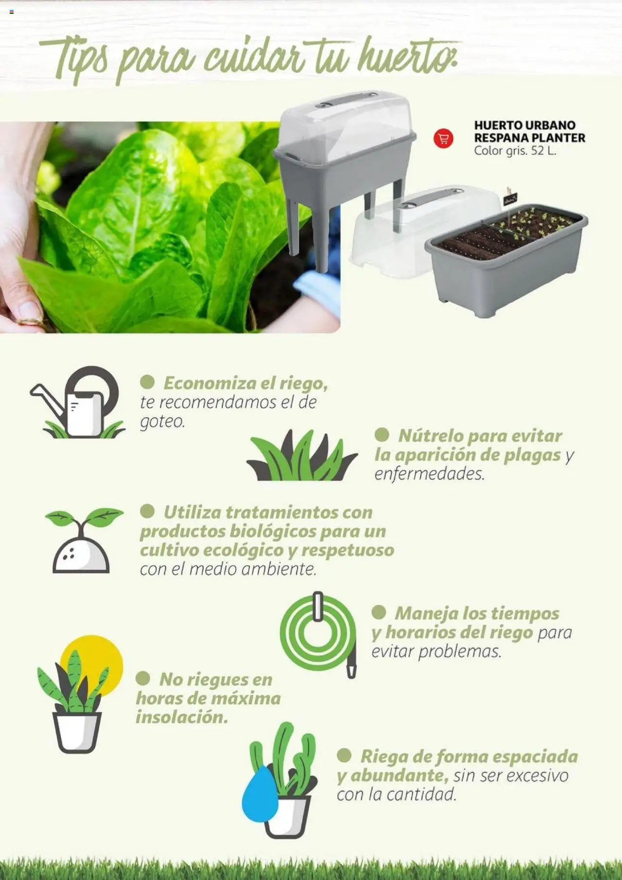 Alcampo - Jardín │ válido desde el 11.02.2025 | Página: 13 | Productos: Té
