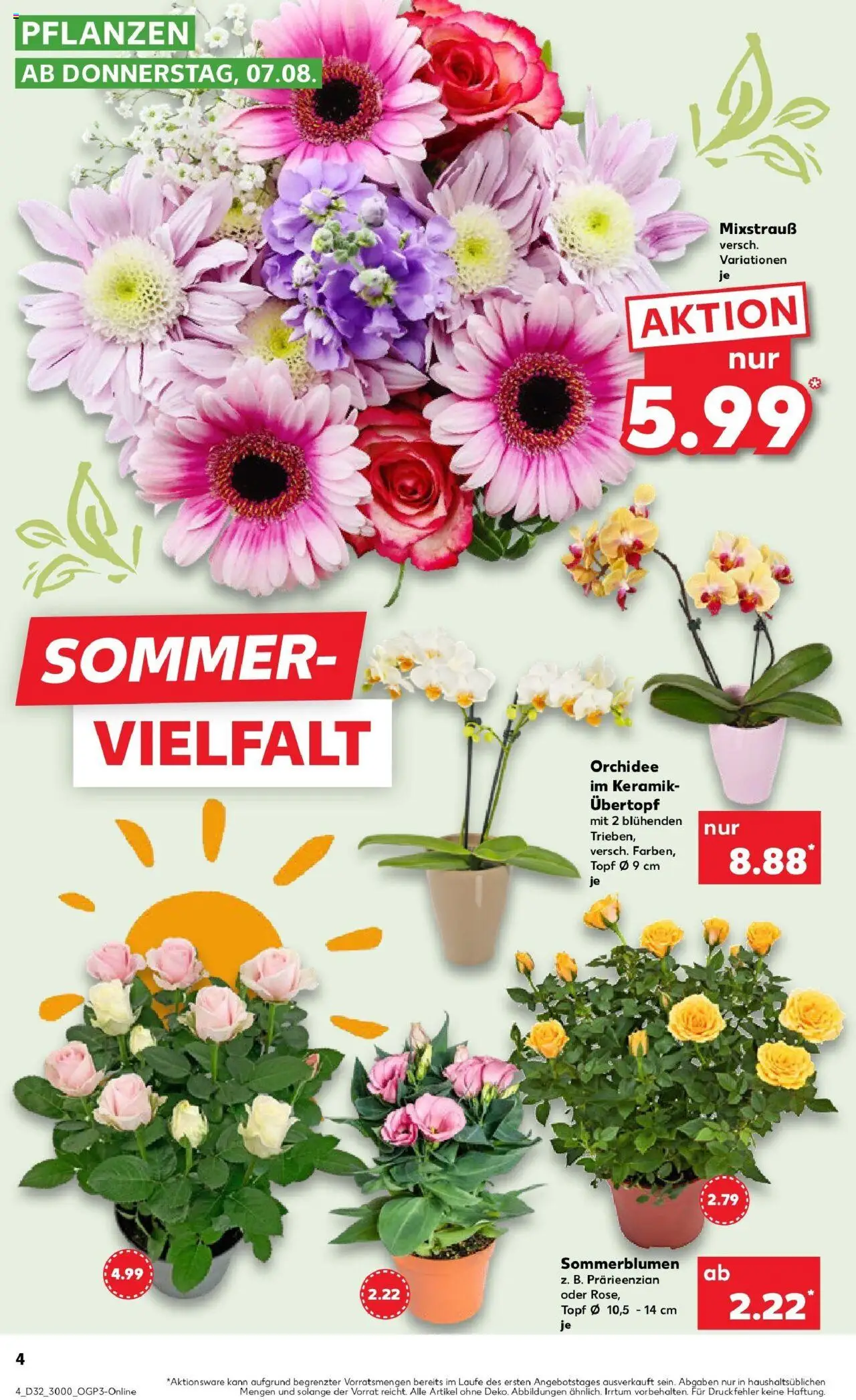Kaufland prospekt Leonberg	 - gültig ab dem 10.08.2025 | Seite: 17 | Produkte: Orchidee