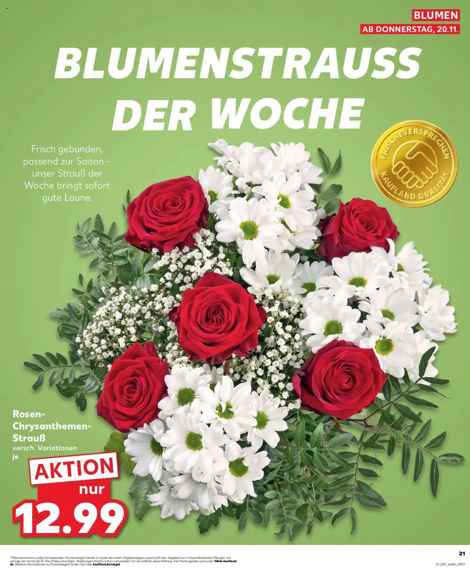 Kaufland prospekt Pocking	 – gültig ab 20.11.2025 | Seite: 21 | Produkte: Blumen