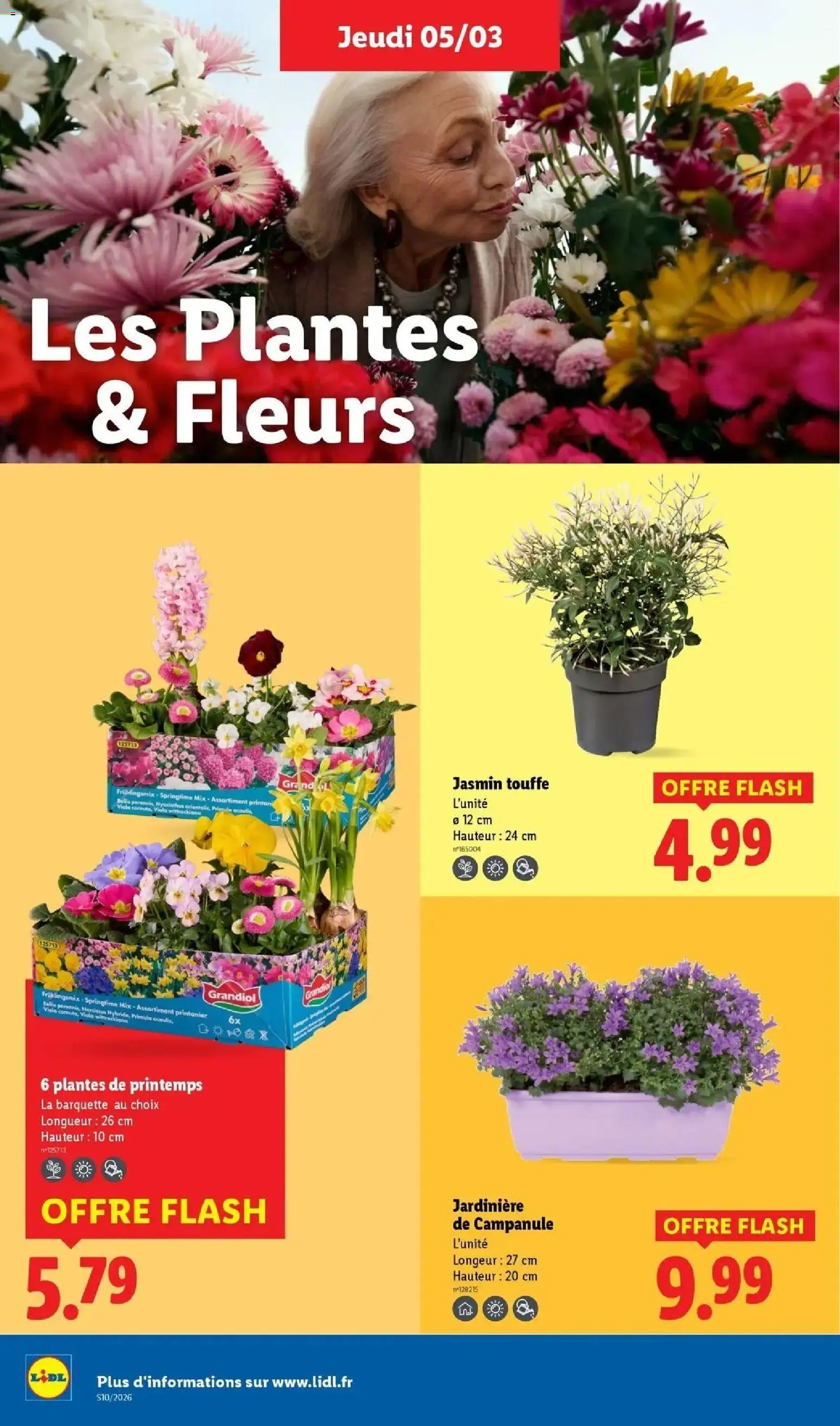 {H1} | Page: 26 | Produits: Jasmin Touffe, Plantes, Jardinière