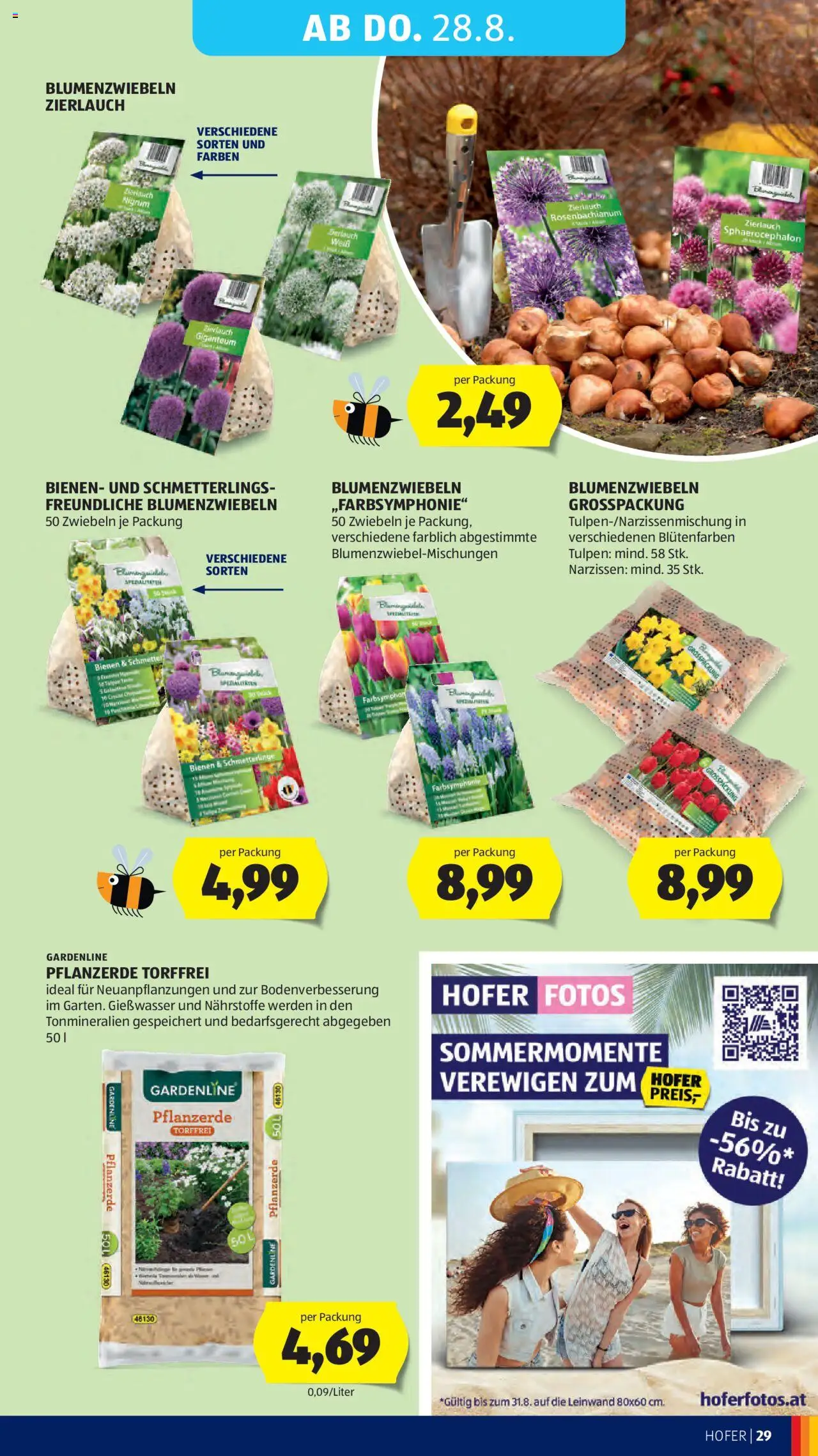Hofer Flugblatt gültig ab 22.08.2025 | Seite: 33 | Produkte: Zwiebeln