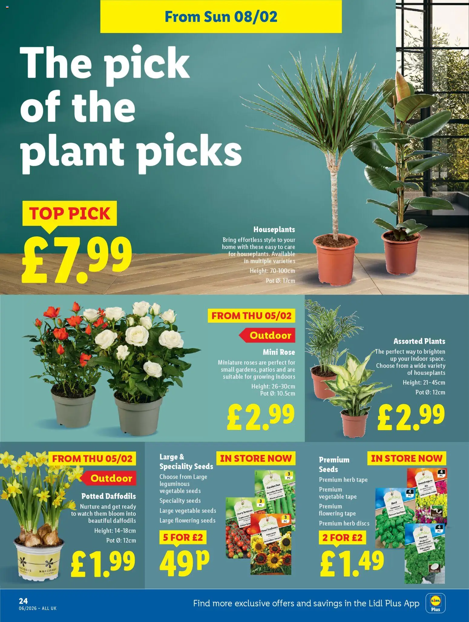 {H1} | Page: 26 | Products: Herb, Roses, Tomatoes, Watch