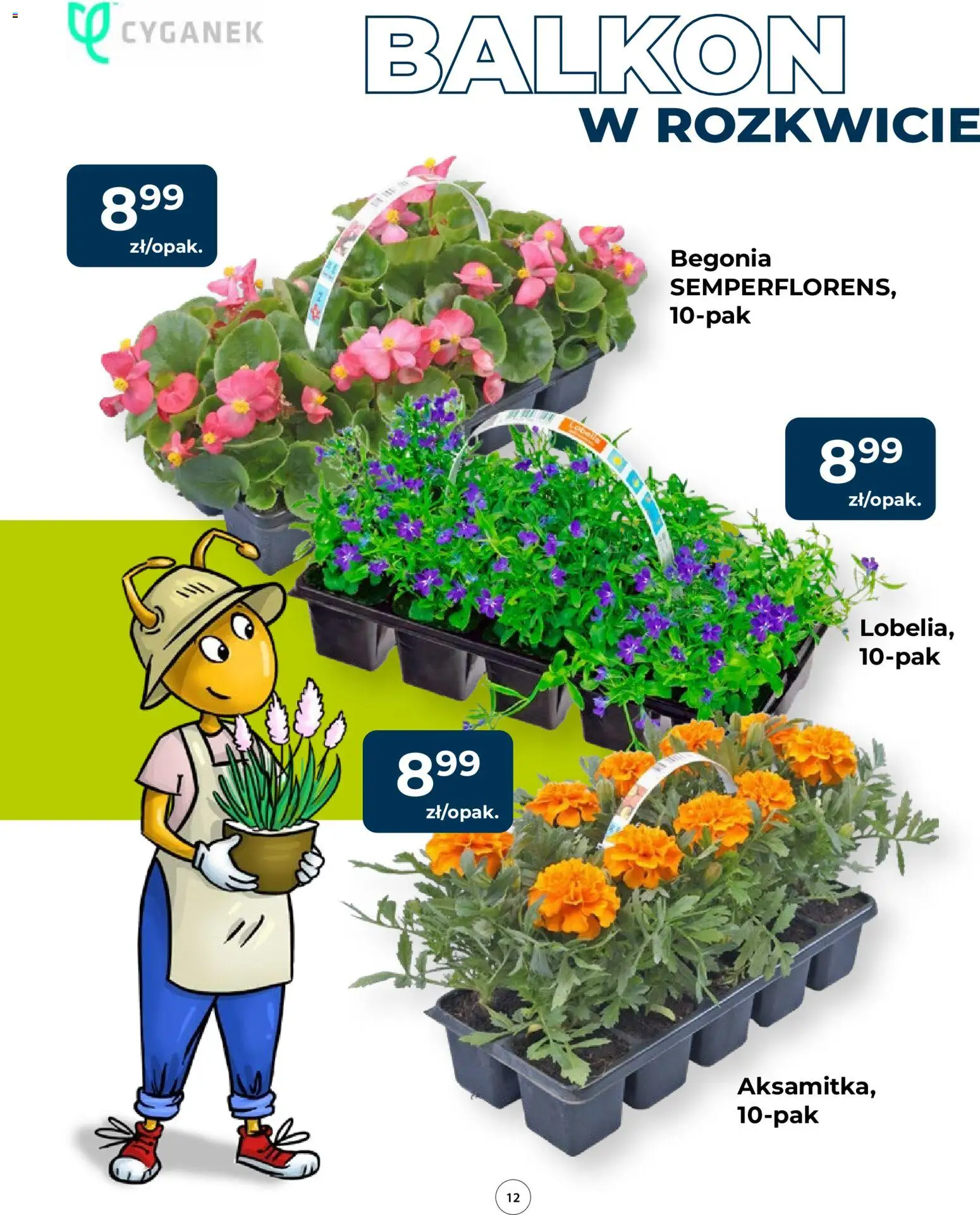 Mrówka gazetka od 23.04.2026 | Strona: 12