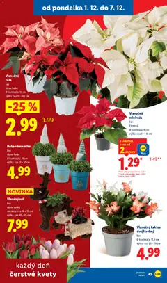 Lidl leták platný od 01.12.2025 | Strana: 42