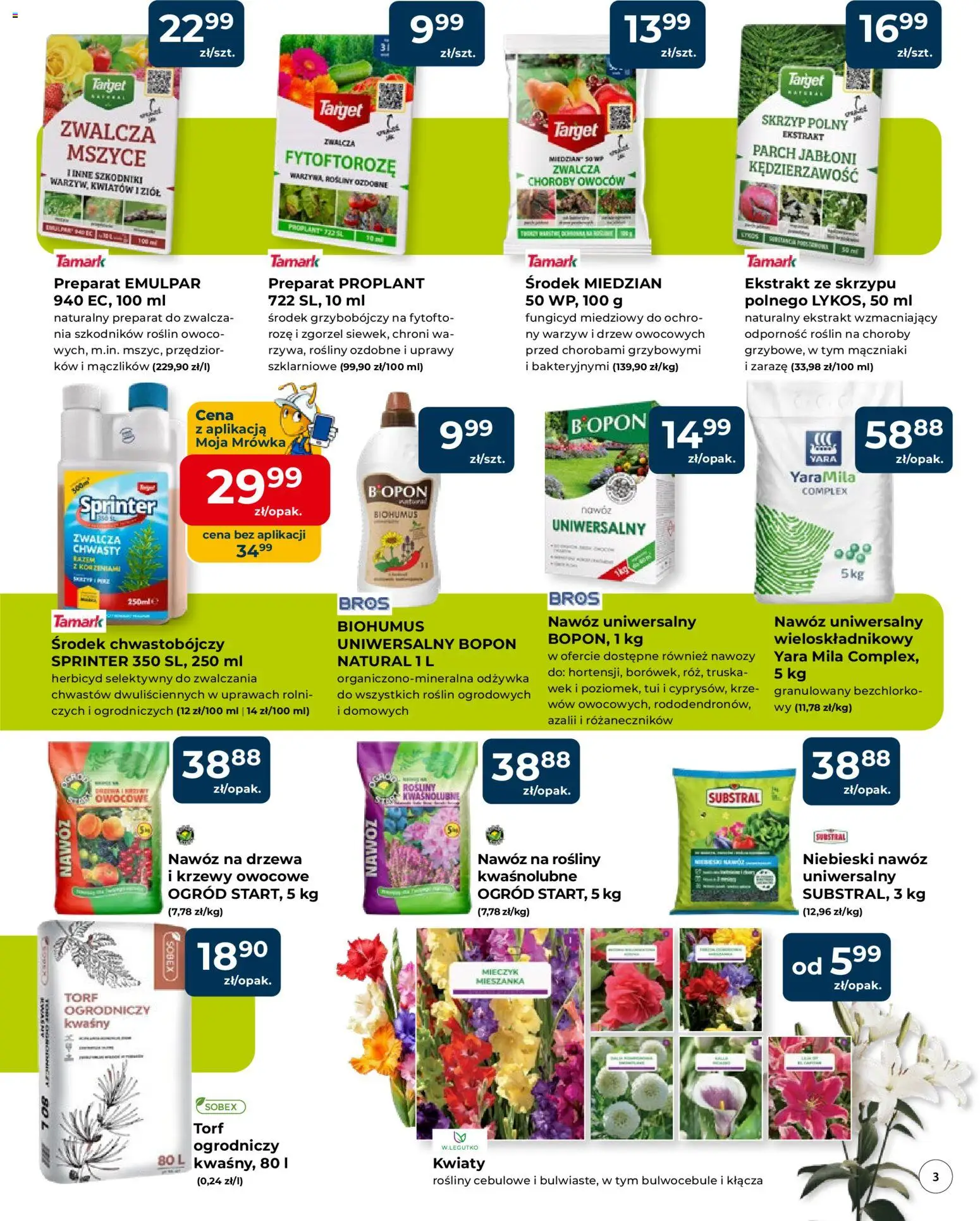 Mrówka gazetka - Elbląg od 09.04.2026 | Strona: 3 | Produkty: Krzewy owocowe, Rosliny, Odżywka, Kwiaty