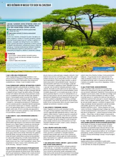 Sonček katalog akcije – veljaven od 08.09.2025 | Stran: 16 | Izdelki: Jajca, Banane
