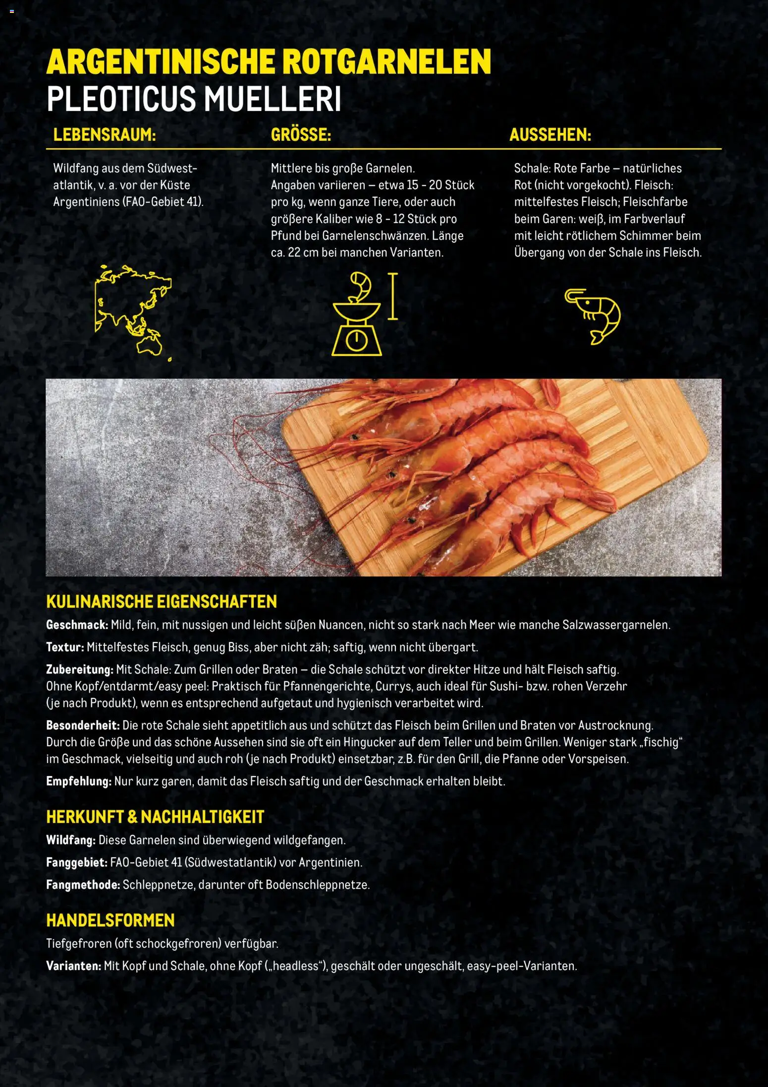 Metro Garnelen Folder gültig ab 27.11.2025 | Seite: 16