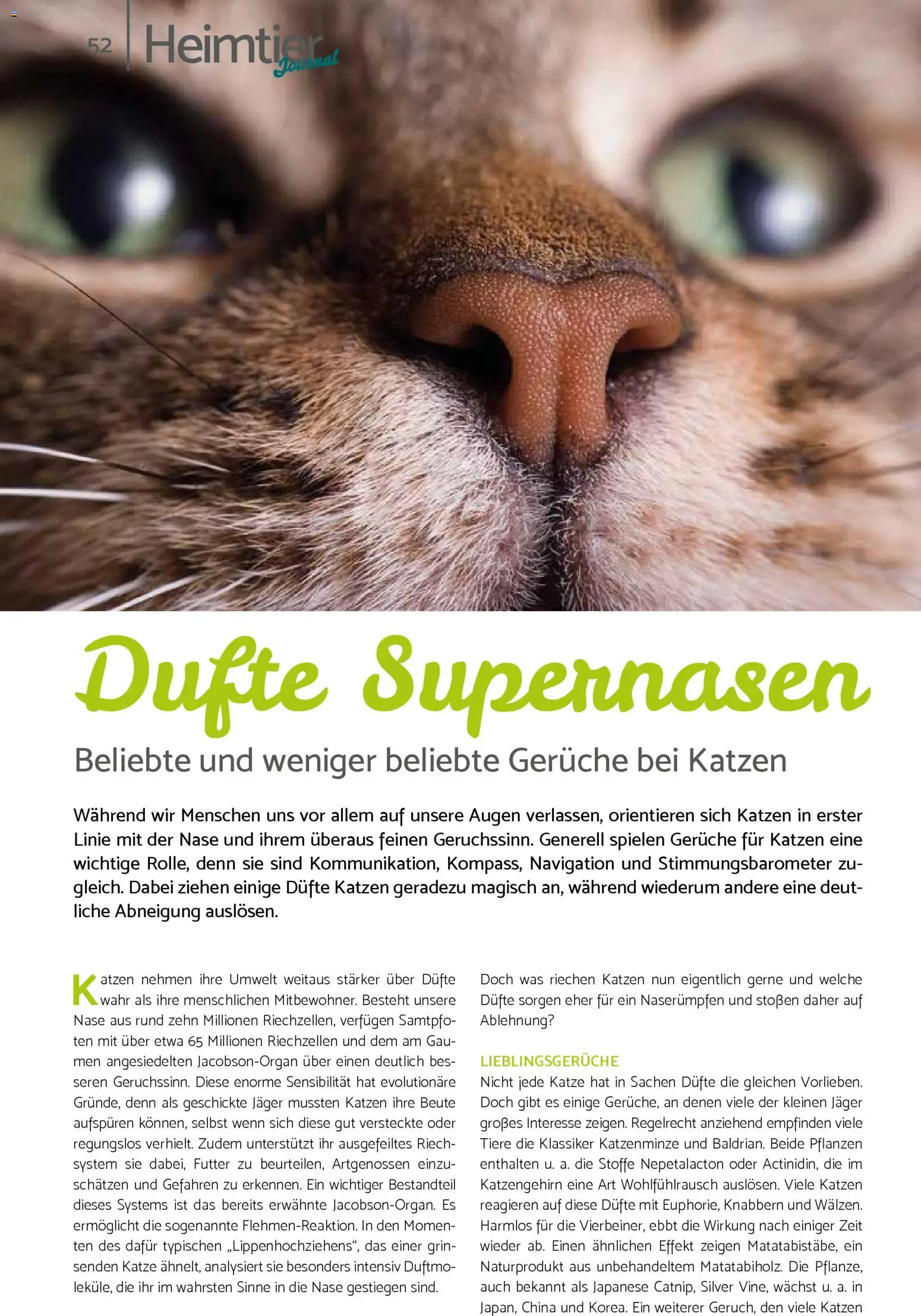 zookauf Prospekt 	 – gültig ab 01.02.2026 | Seite: 52 | Produkte: Navigation