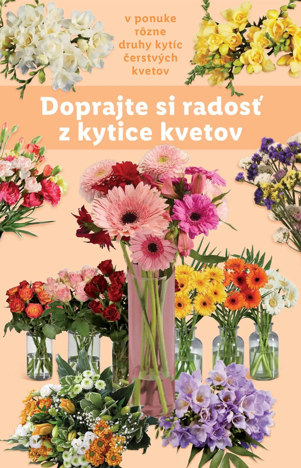 Lidl leták │ platný od 21.07.2025 | Strana: 42