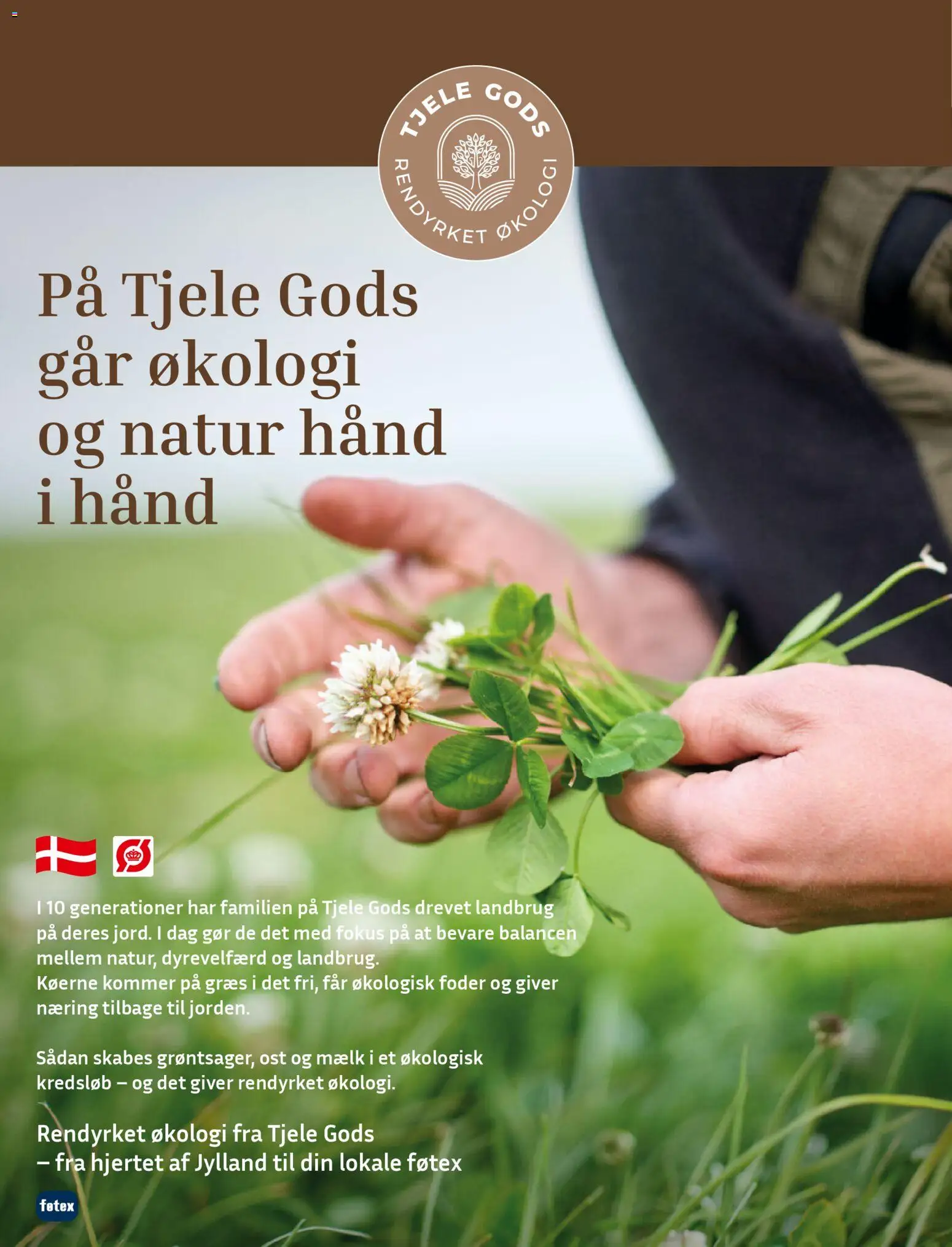 Føtex tilbudsavis – gyldig fra 27.02.2026 | Side: 16 | Produkter: Mælk, Ost