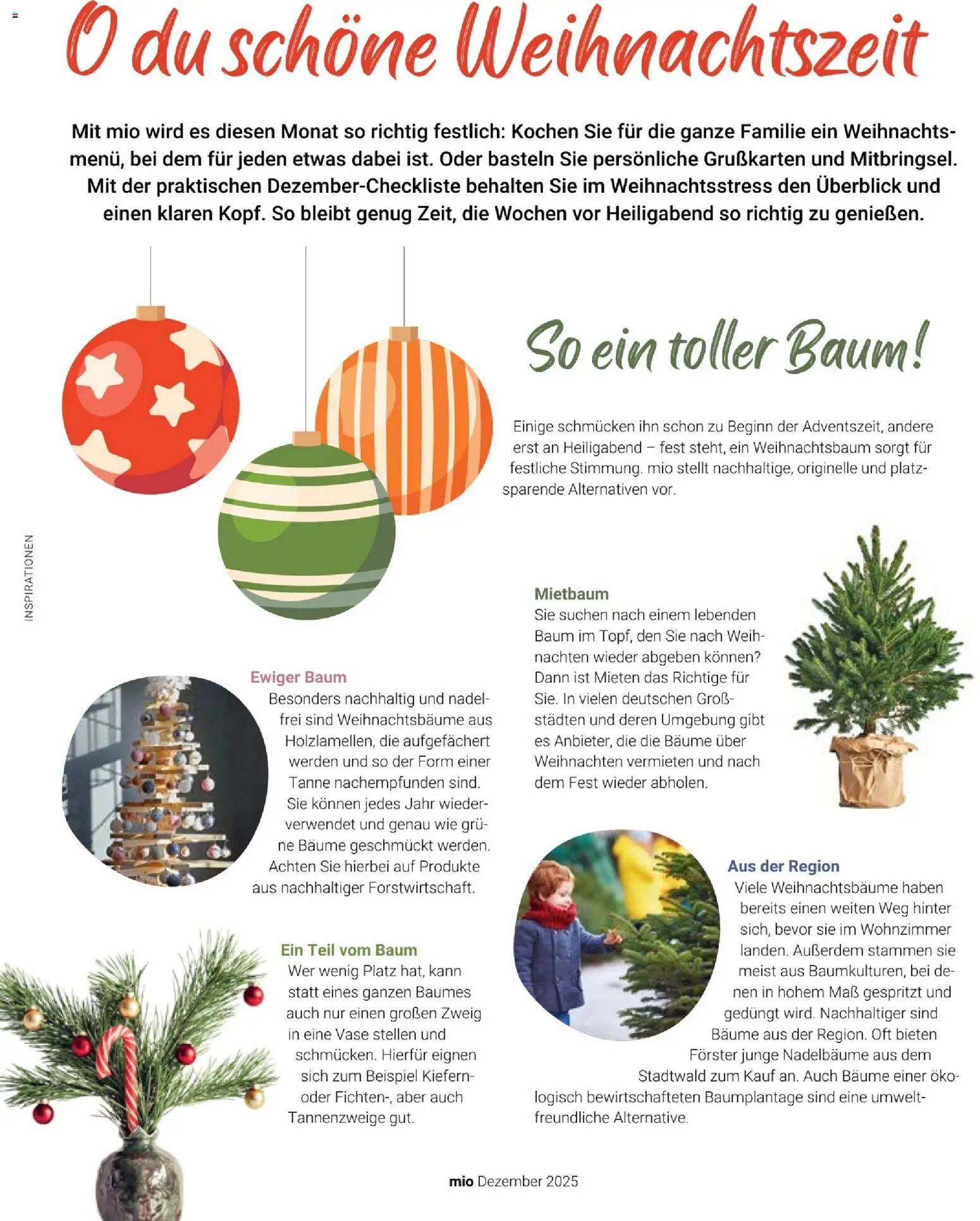 Globus Mio Magazin – gültig ab 01.12.2025 | Seite: 4 | Produkte: Vase