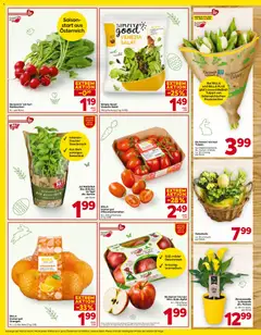 Billa - Flugblatt ab 26.03.2026 gültig | Seite: 16 | Produkte: Salat, Äpfel, Orangen, Tomaten