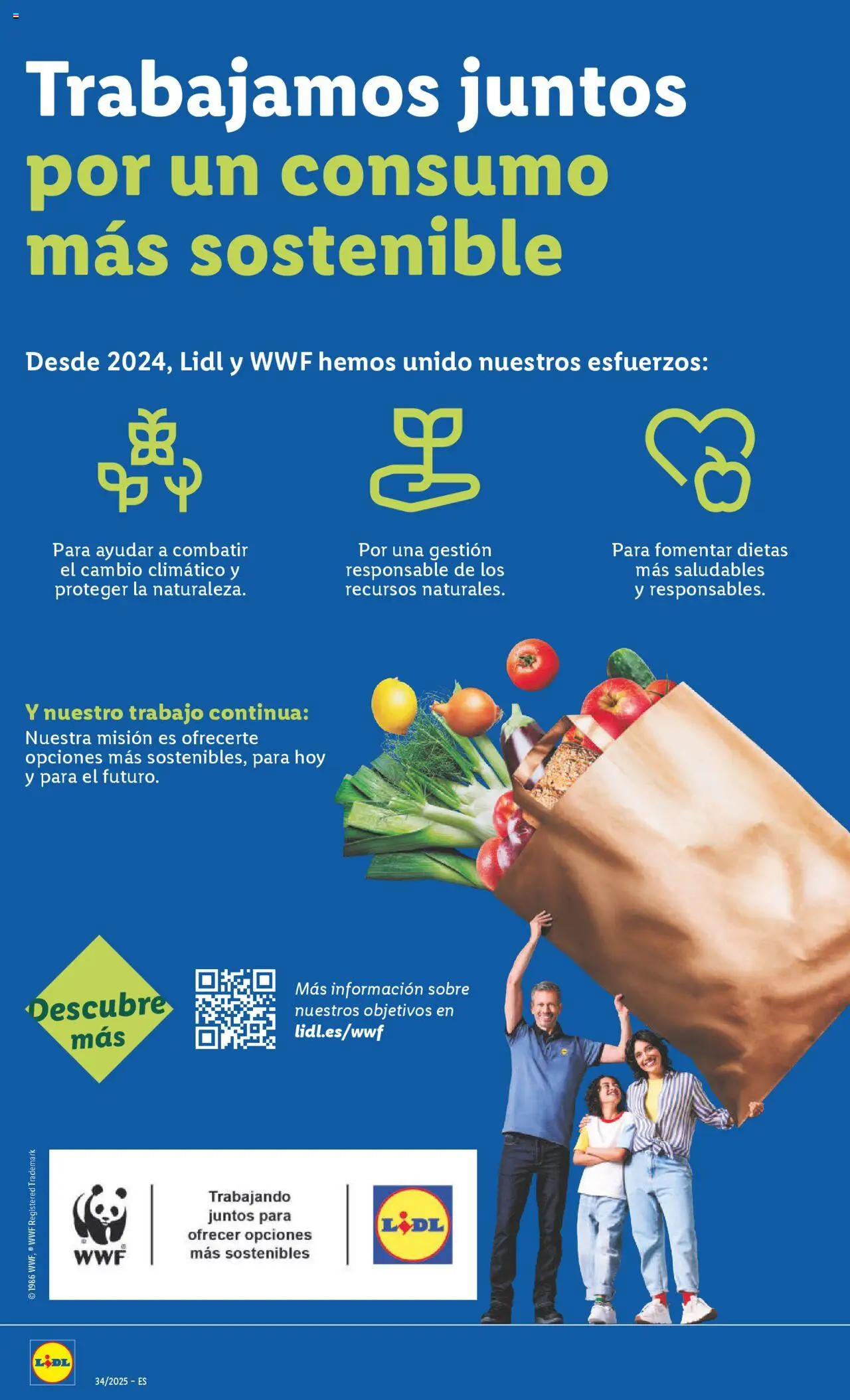 Lidl catálogo BCN │ válido desde el 18.08.2025 | Página: 40