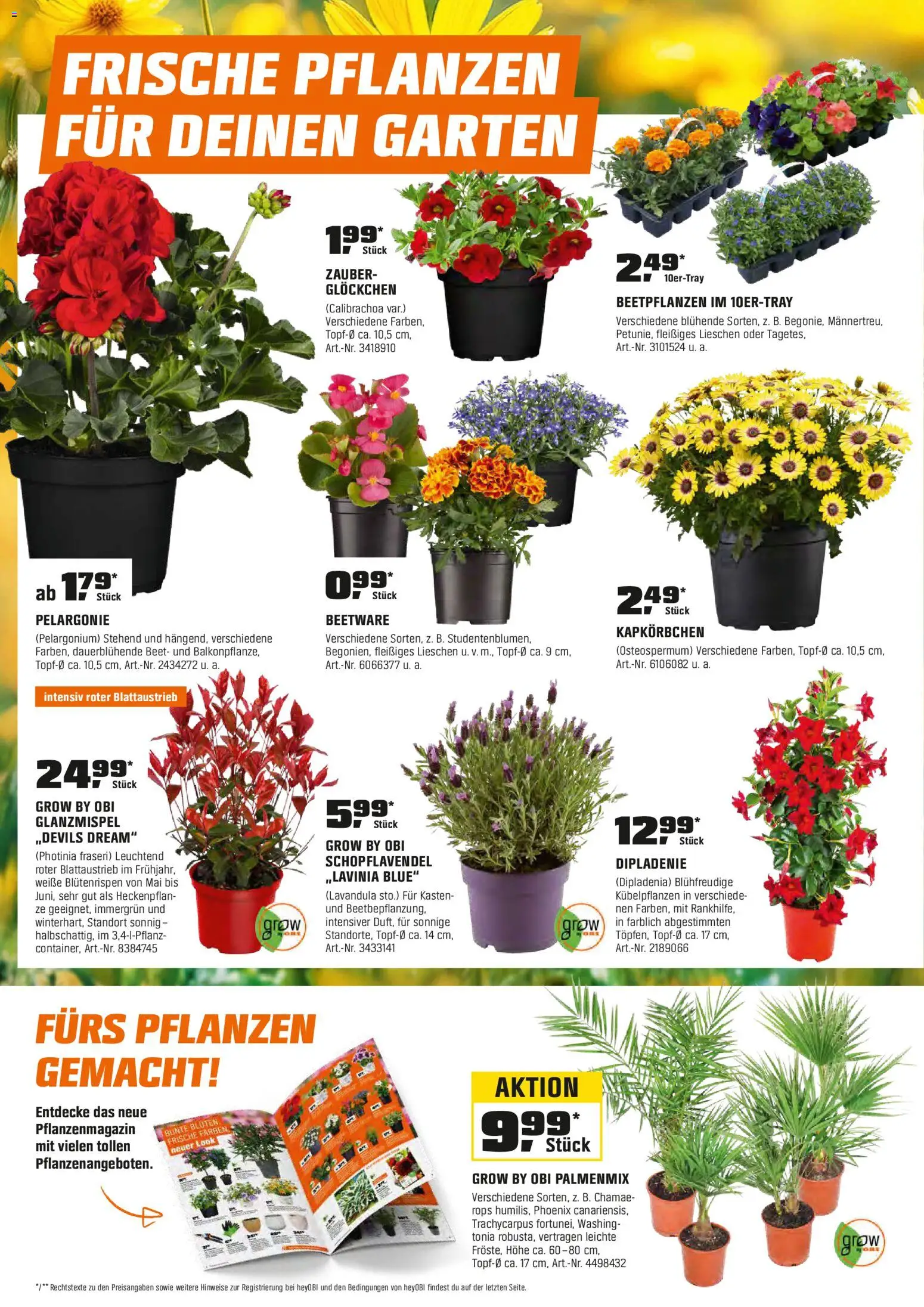 OBI Flugblatt gültig ab 26.03.2026 | Seite: 2