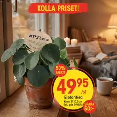 EKO - erbjudanden - Förhandsvisning av reklamblad från butik EKO aktuell från 28.01.2026 | Sida: 4 | Produkter: Kruka