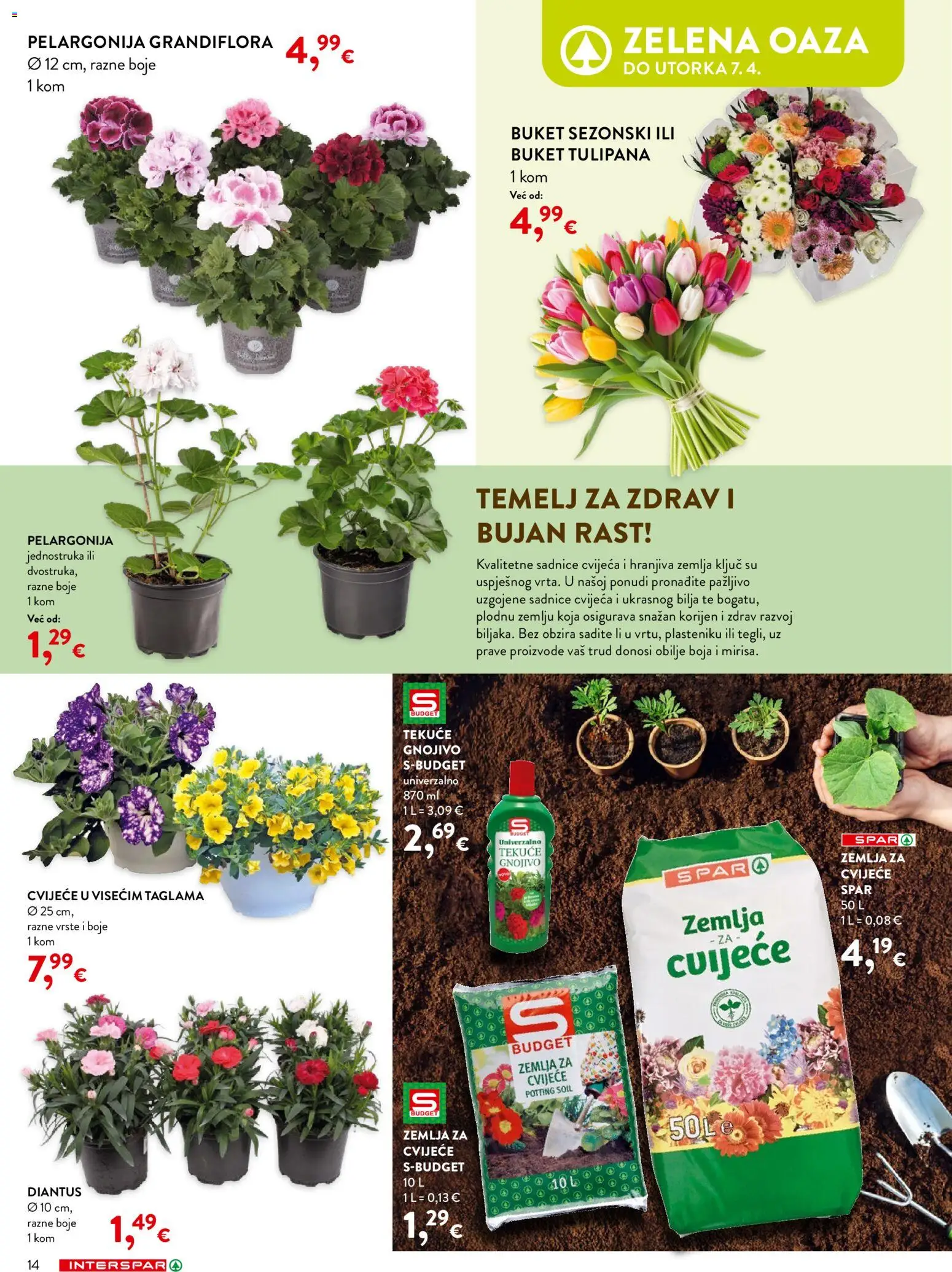 Interspar katalog | vrijedi od 04.03.2026 | Stranica: 14 | Proizvodi: Cvijeće, Zemlja za cvijeće