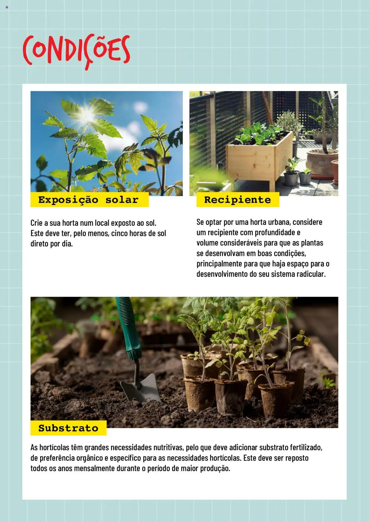 BricoMarché Hortas │ válido de 17.01.2024 | Página: 2