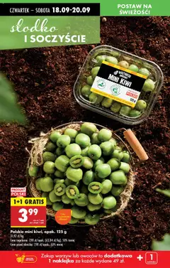Polskie mini kiwi, opak. 125 g, Polskie mini kiwi, opakowanie 125 g, 1+1 gratis od 18.09.2025 | Strona: 22