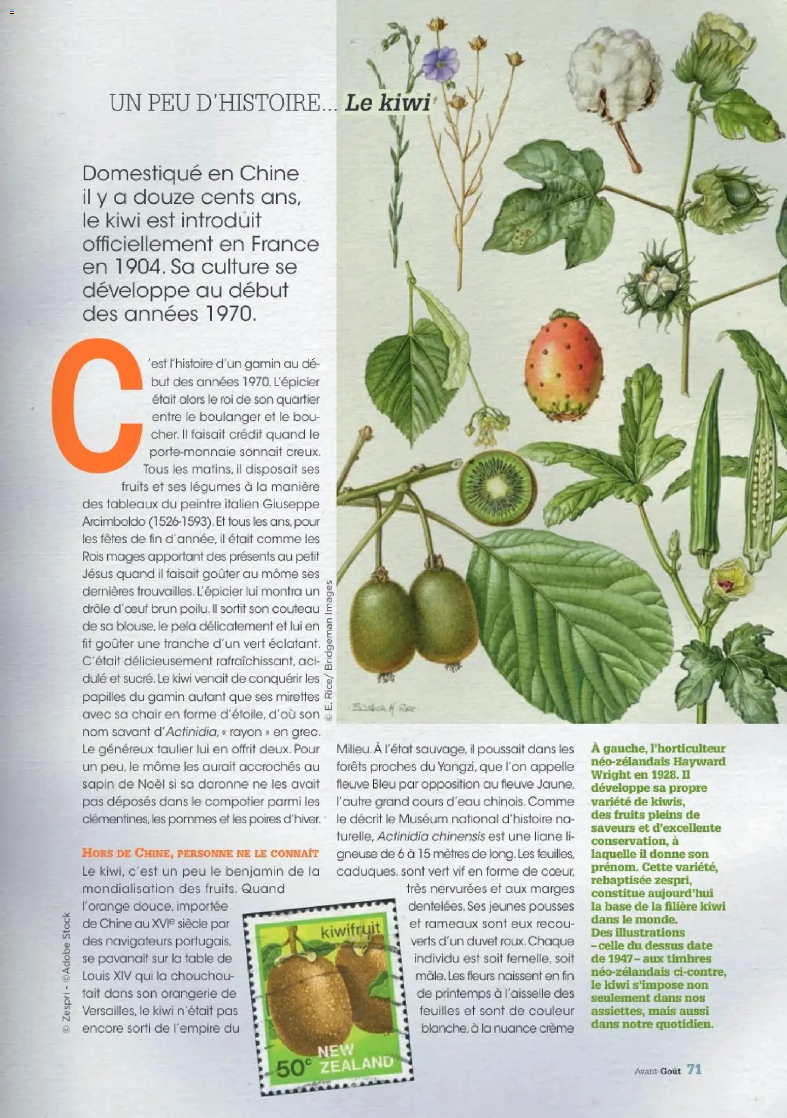 {H1} | Page: 71 | Produits: Couteau, Chouchou, Mais, Kiwi