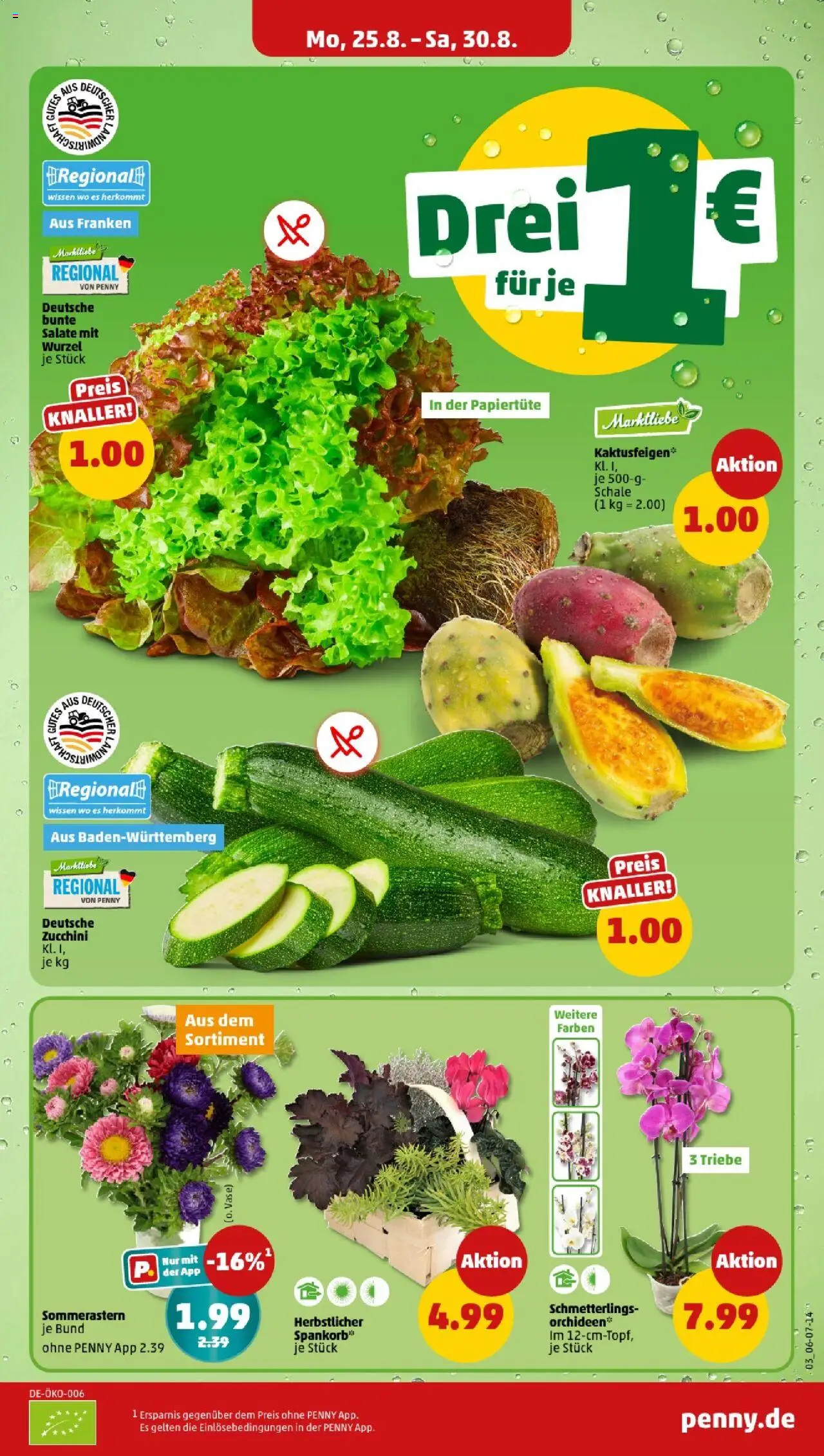 Penny - Baden-Württemberg - gültig ab dem 25.08.2025 | Seite: 3 | Produkte: Zucchini