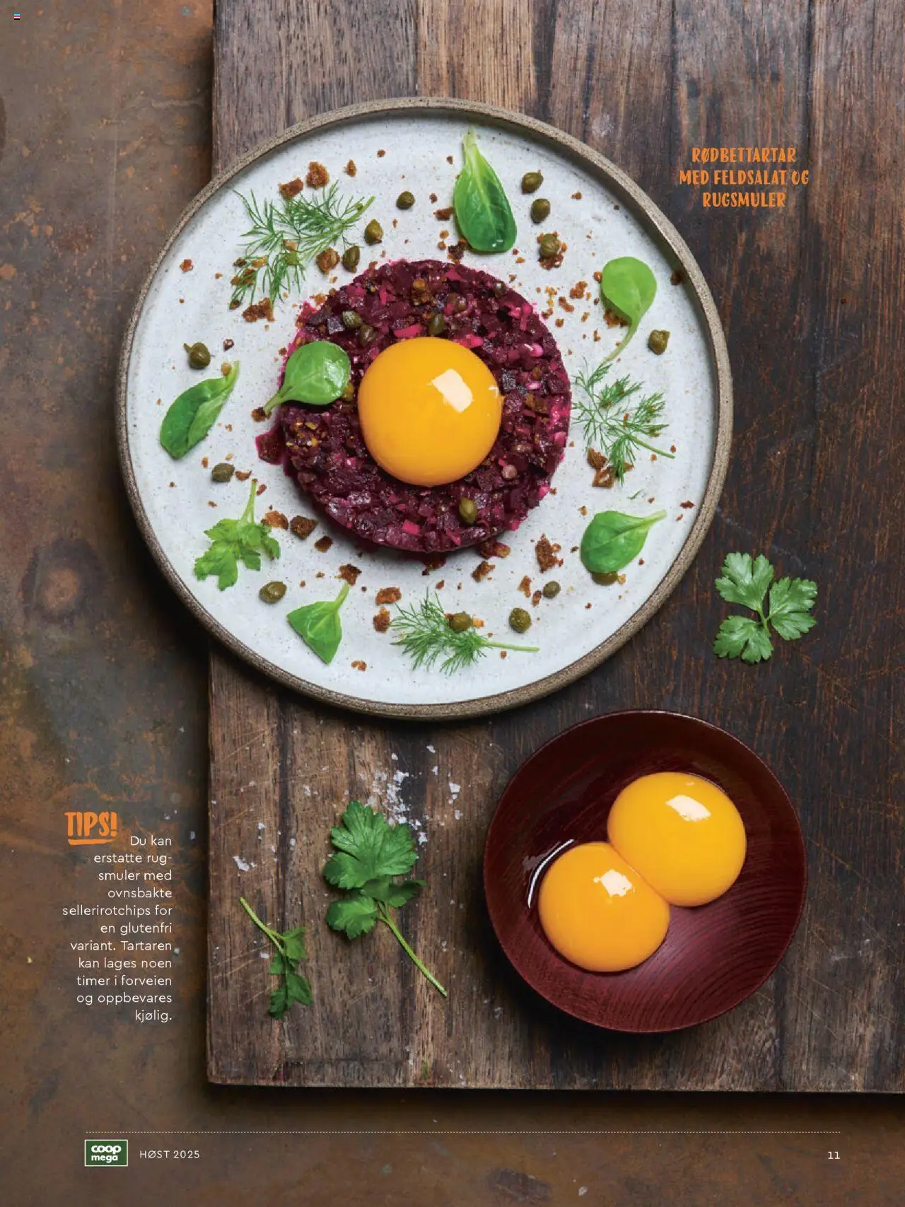 {H1} | Side: 11 | Produkter: Jachetă